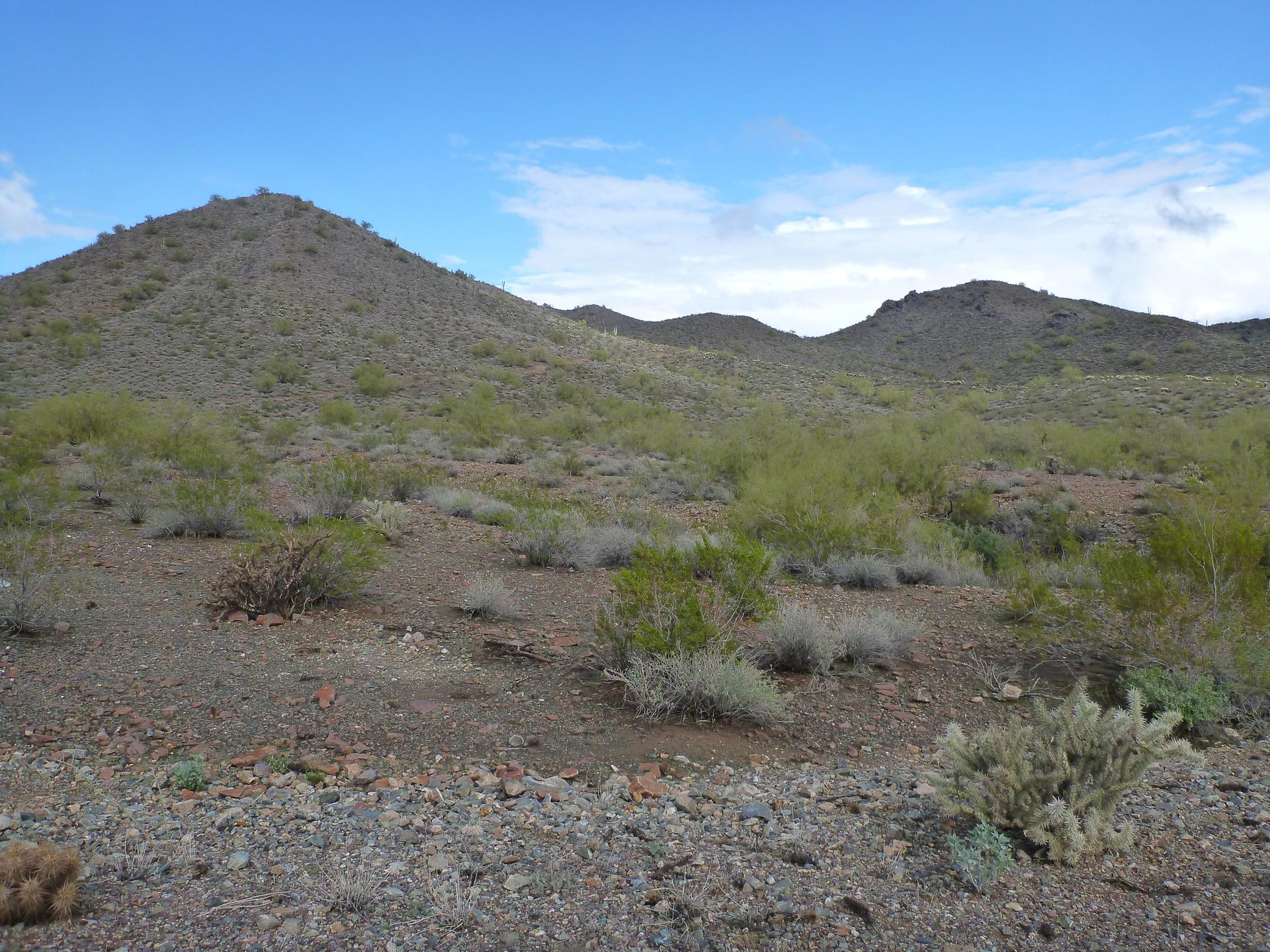 Arid desert hills covered in sparse green and brown scrub under a blue sky.