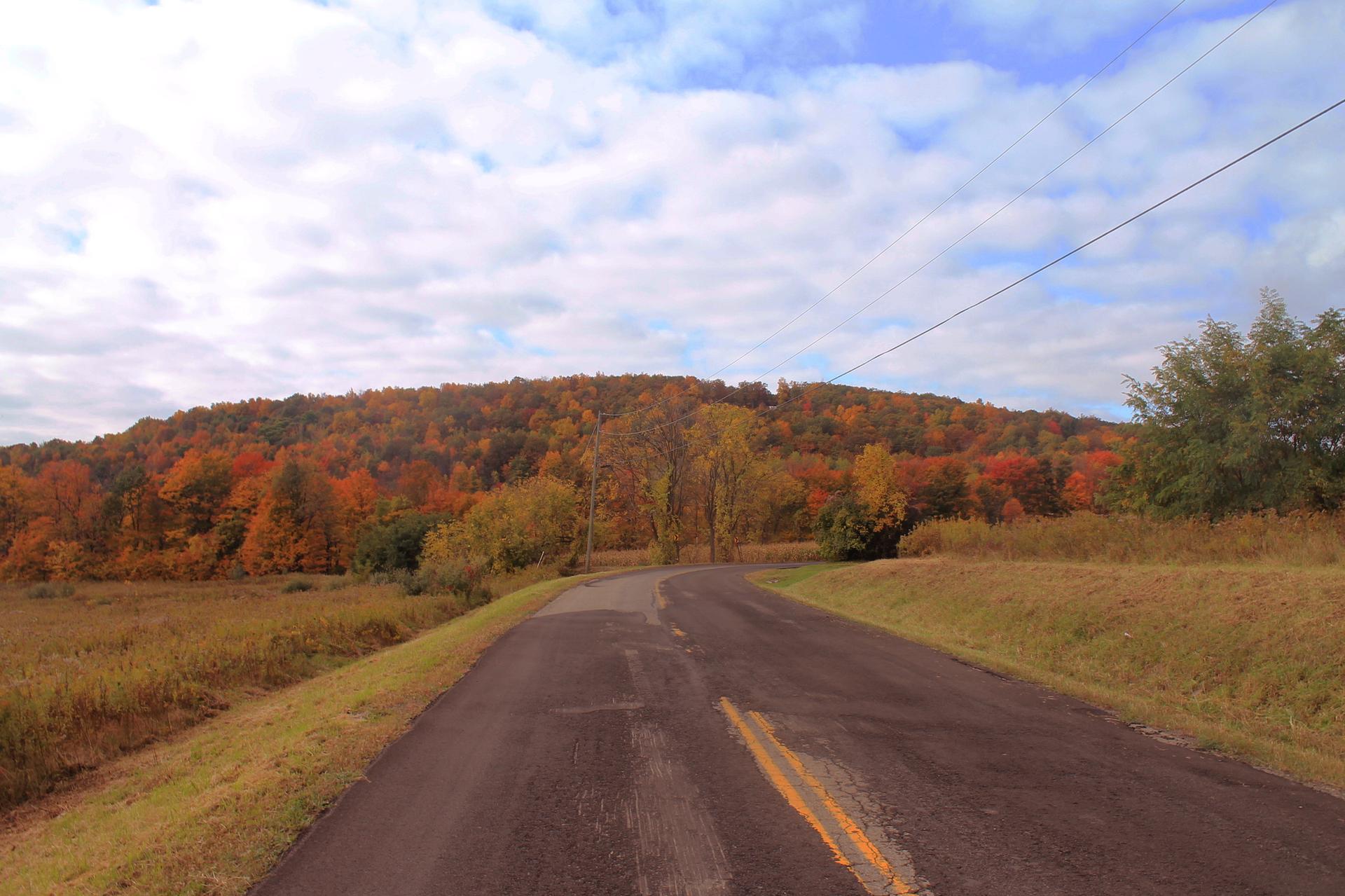 Paved road winding towards hills covered in vibrant autumn foliage under cloudy sky.