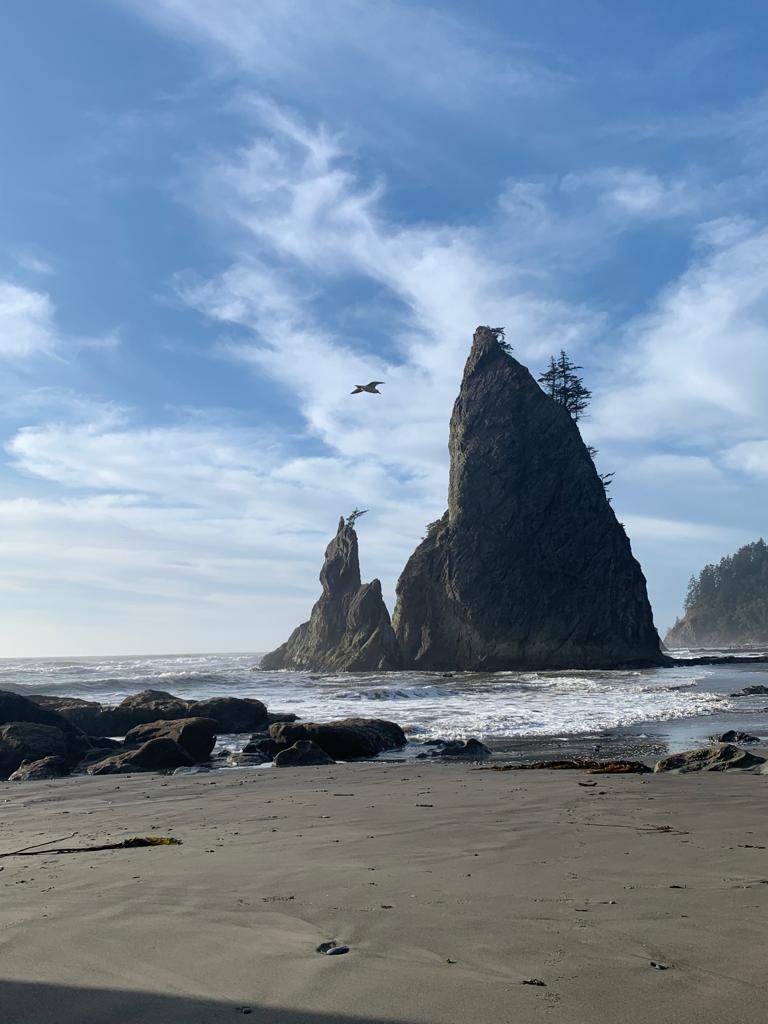 Two towering sea stacks with trees on a sandy beach under a bright sky.