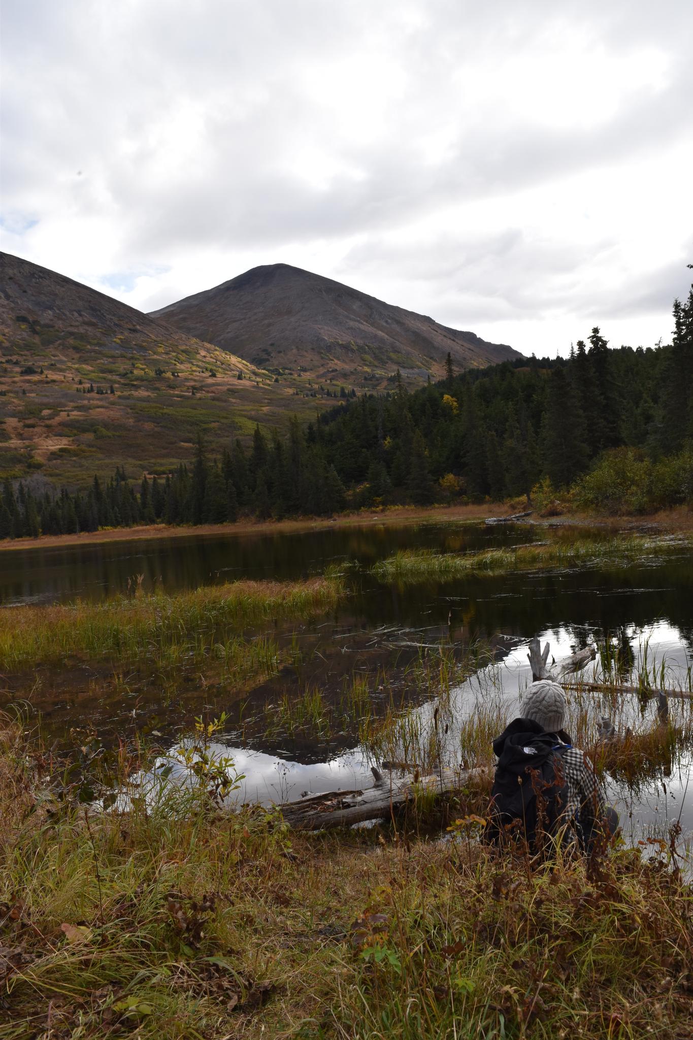 Person sitting by a mountain lake with forests under an overcast sky.