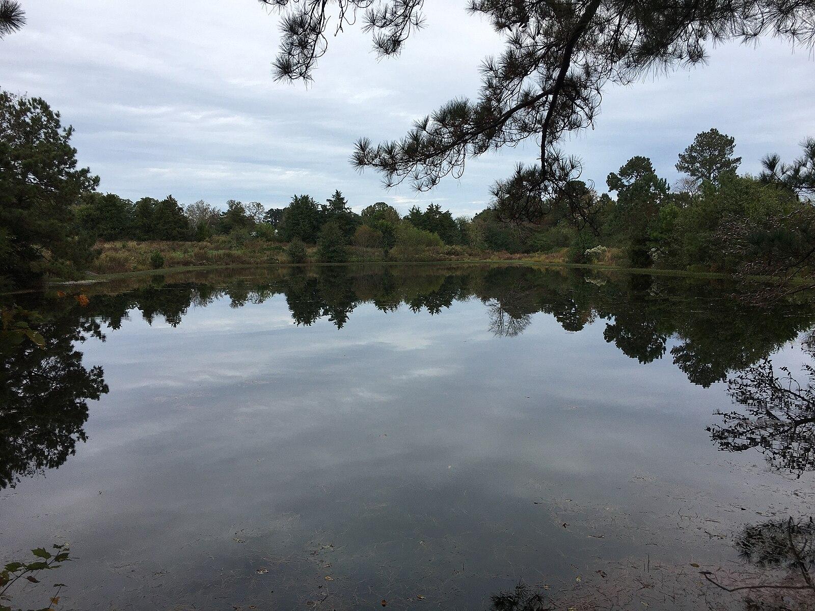 Calm lake reflecting dense green trees under an overcast sky.