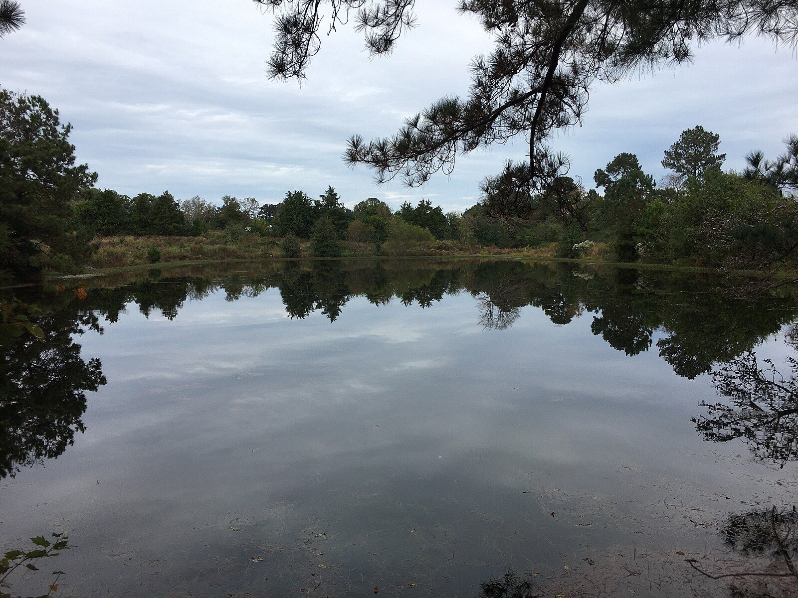 Calm lake reflecting dense green trees under an overcast sky. - Two Pond and Little Falls loops