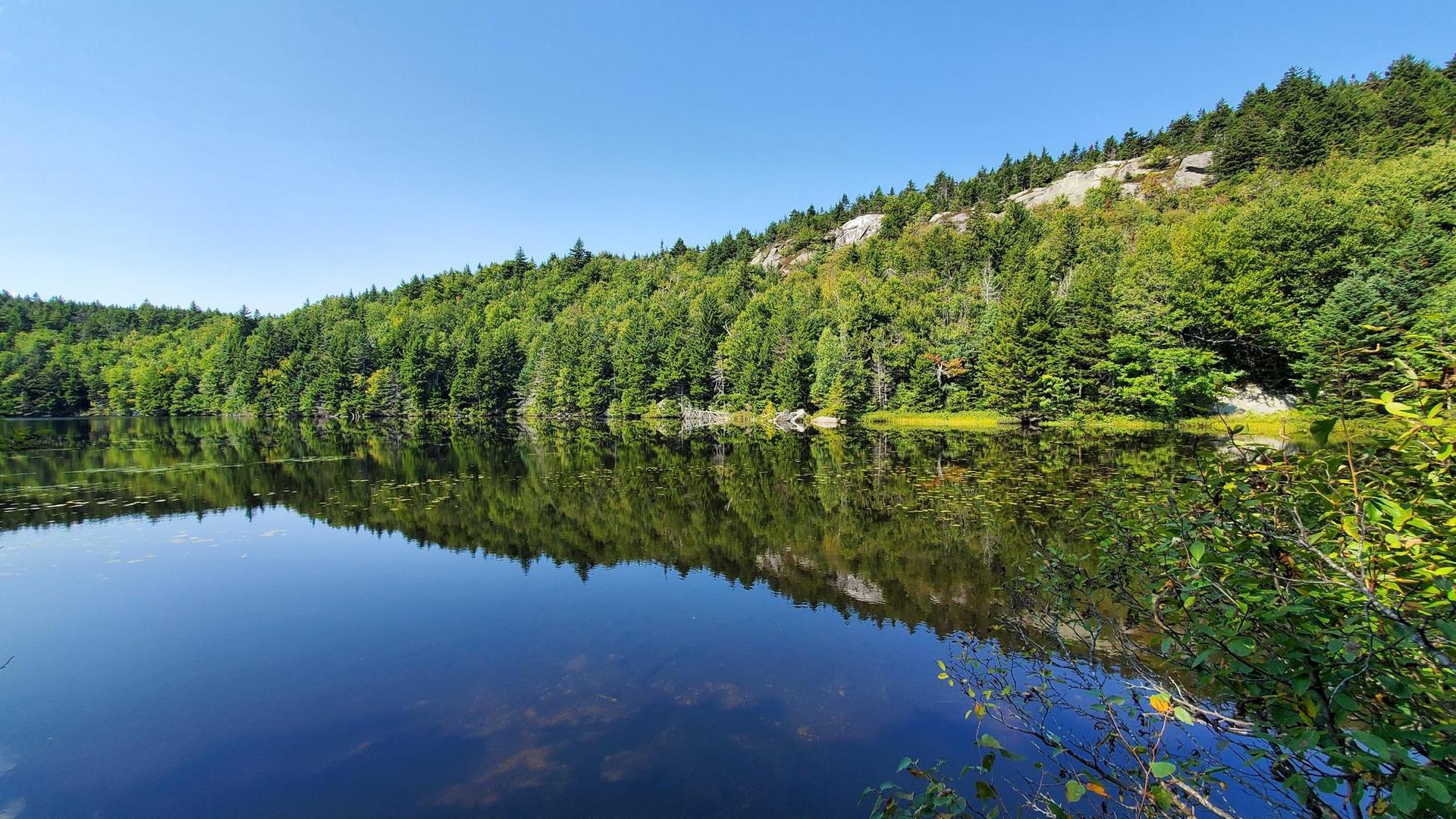 Clear blue lake reflecting green forest and rocky hillside under bright sky.