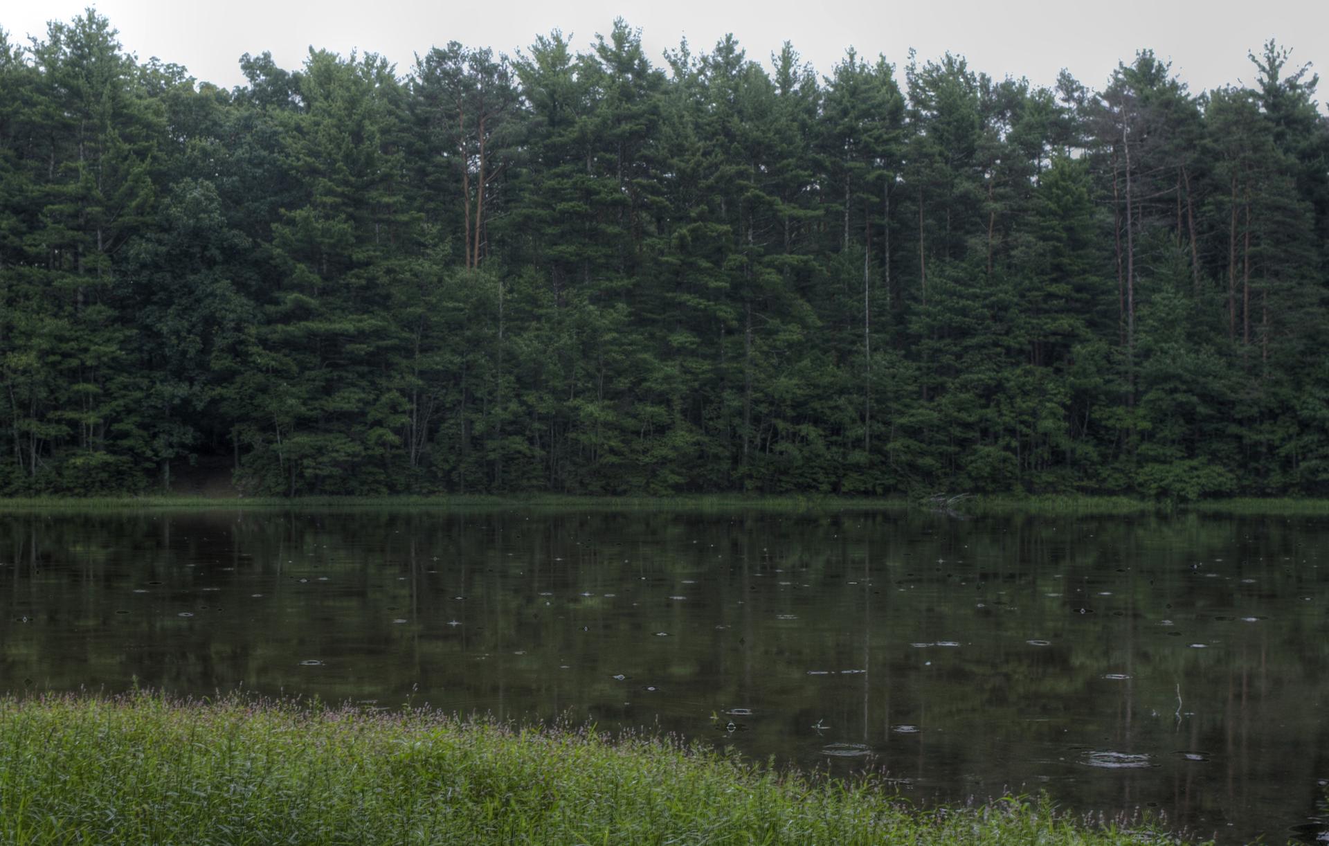 Calm lake reflecting a dense green forest under an overcast sky.