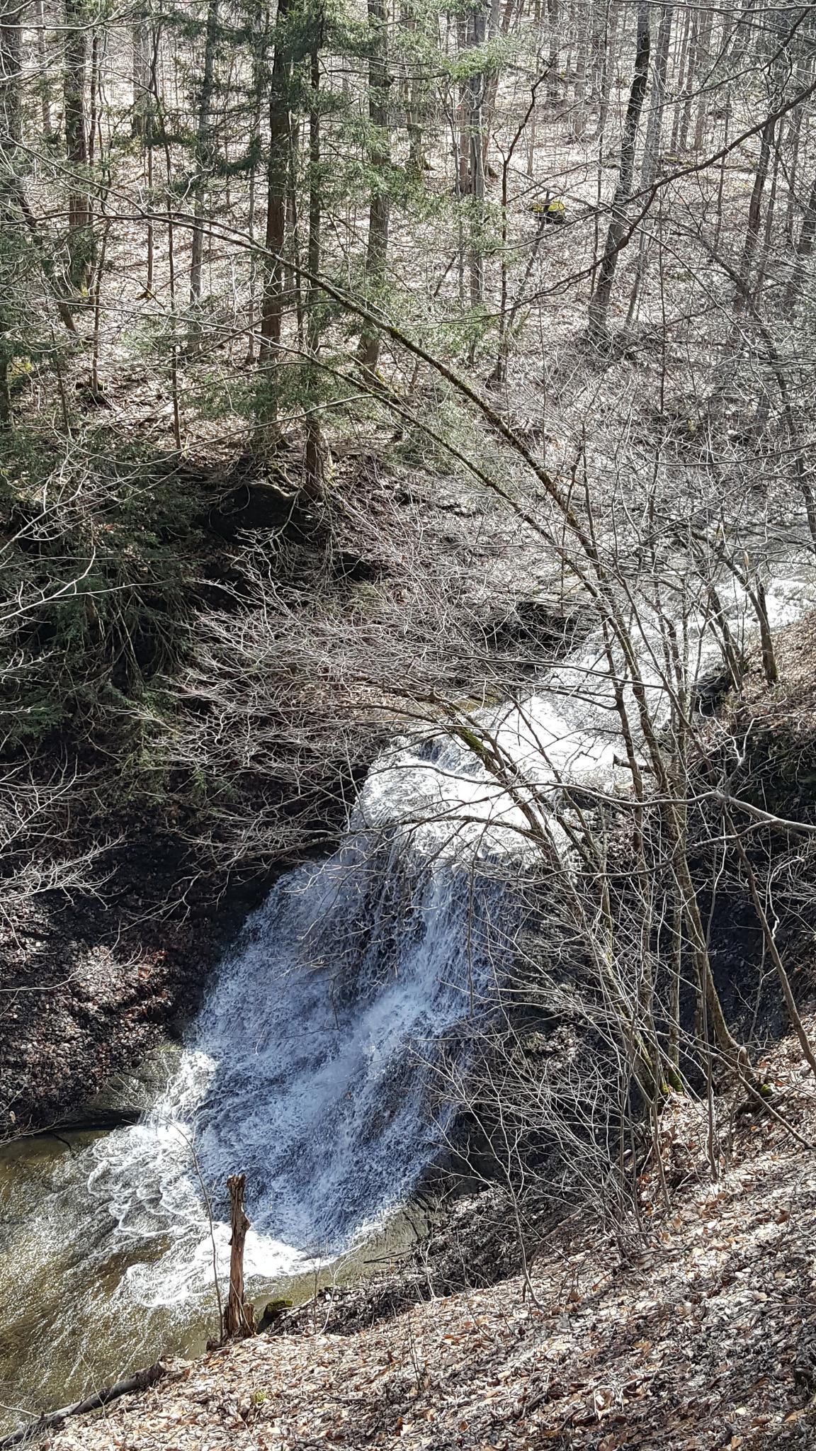 A beautiful waterfall flows through a sunlit forest with bare trees.