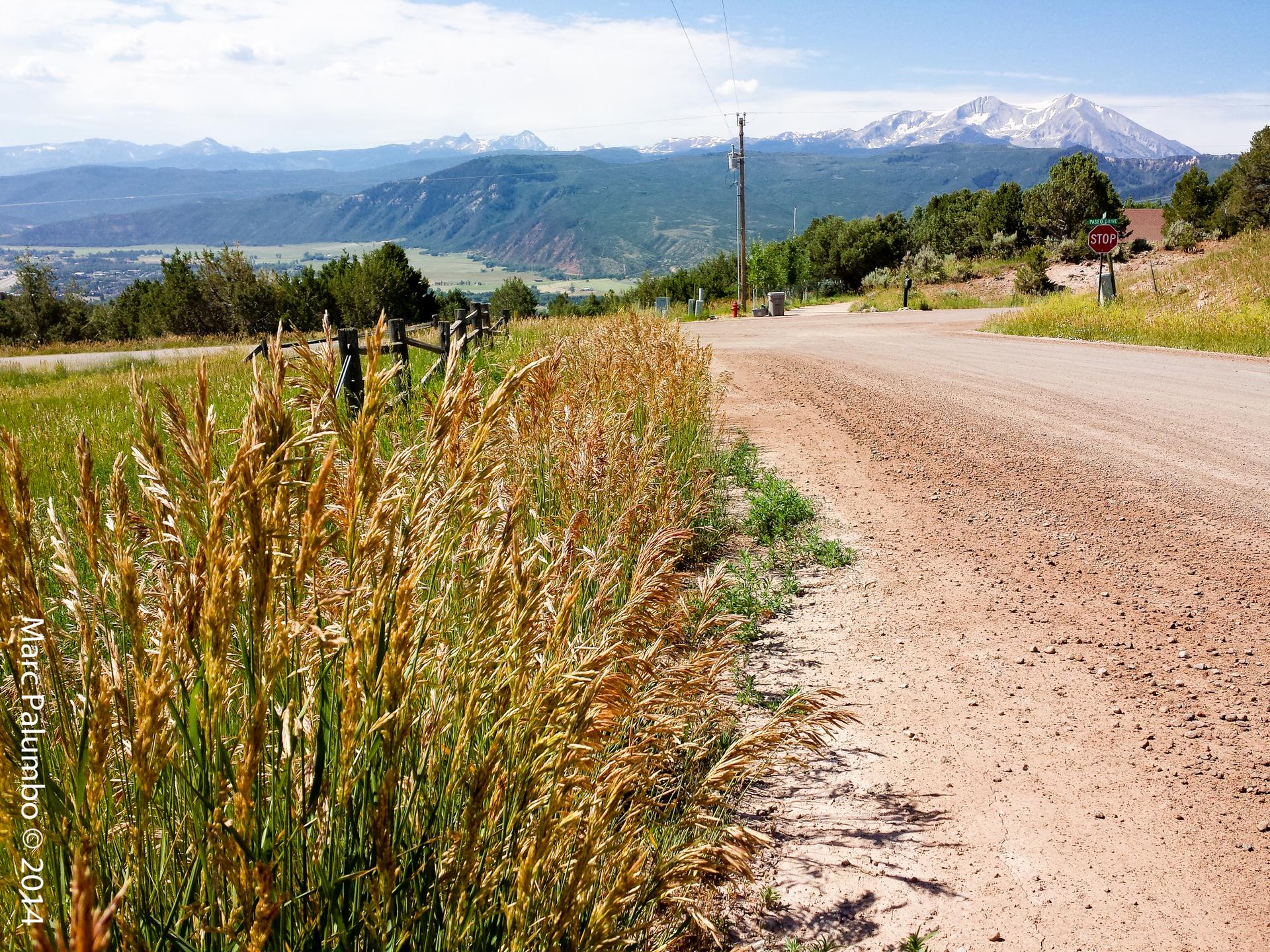 A dirt road next to tall golden grass with snowy mountains in the distance.