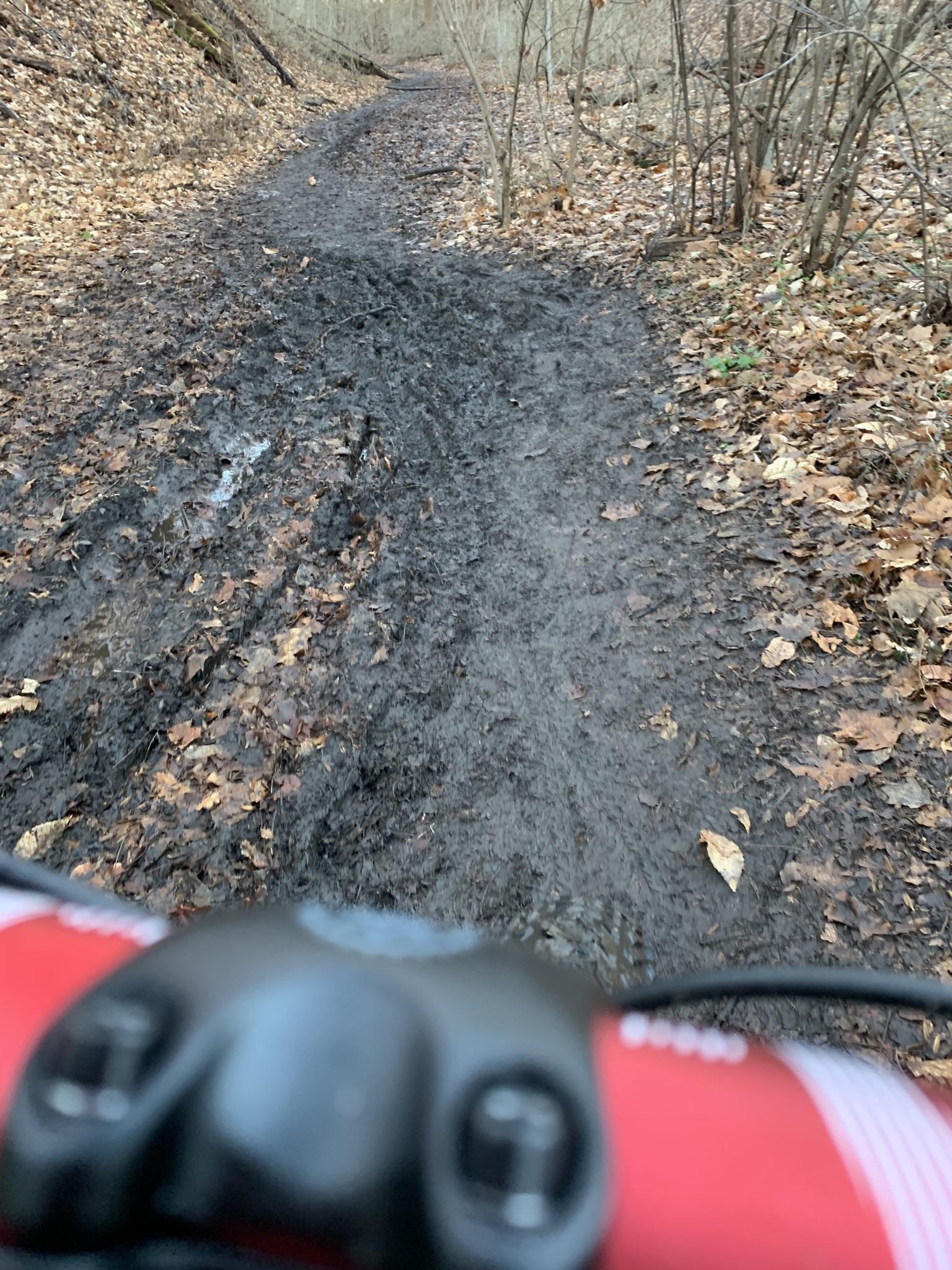 Muddy forest trail with fallen leaves, viewed from a bike's handlebars.