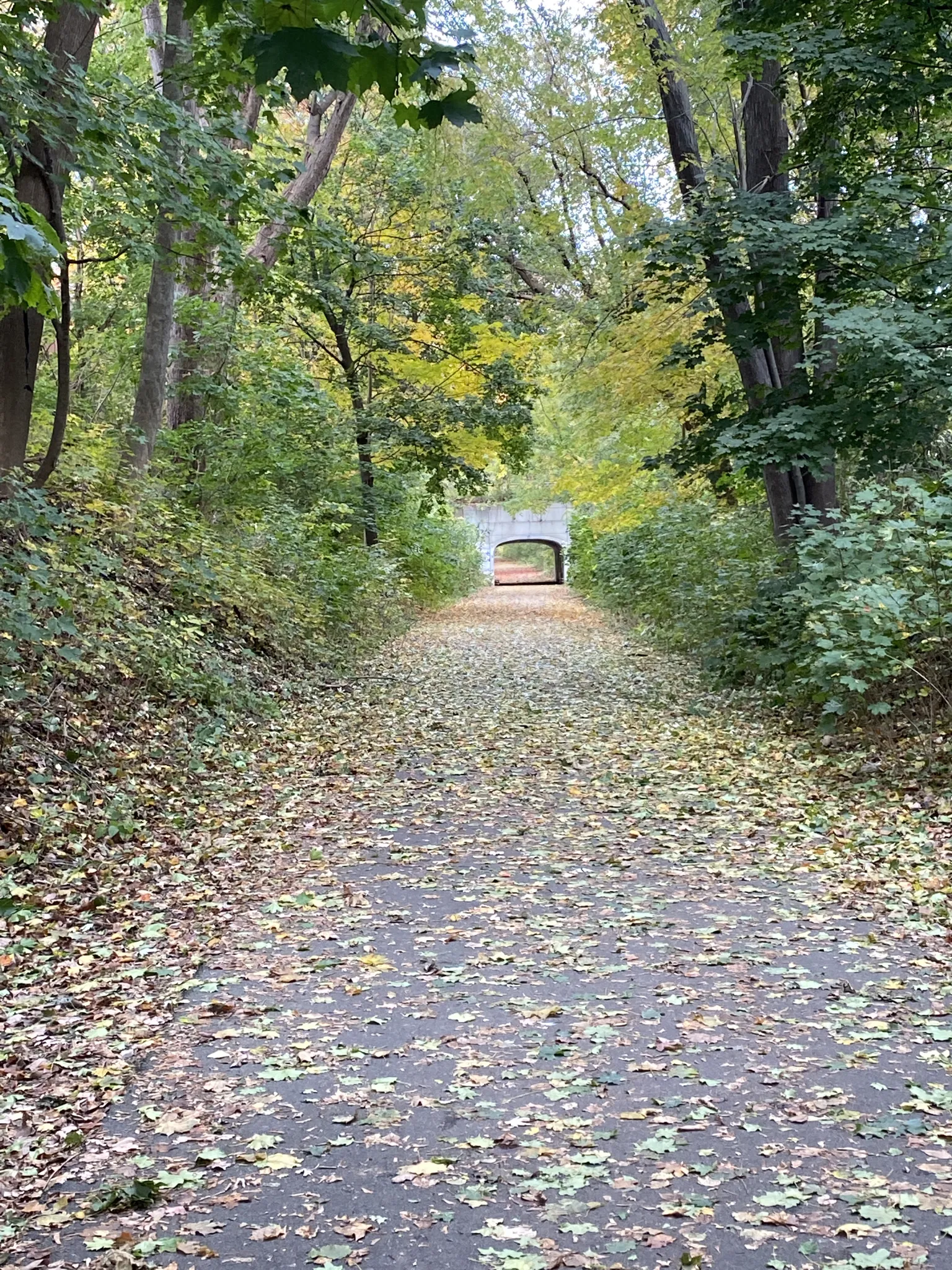 A wooded path with fallen leaves leads to a bright stone tunnel. - Goffstown Rail Trail