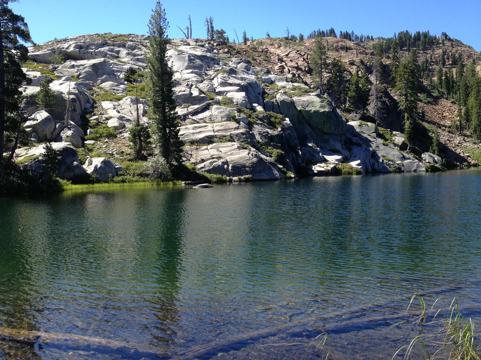 Clear lake water reflecting rocky shores and tall pine trees on a sunny day.