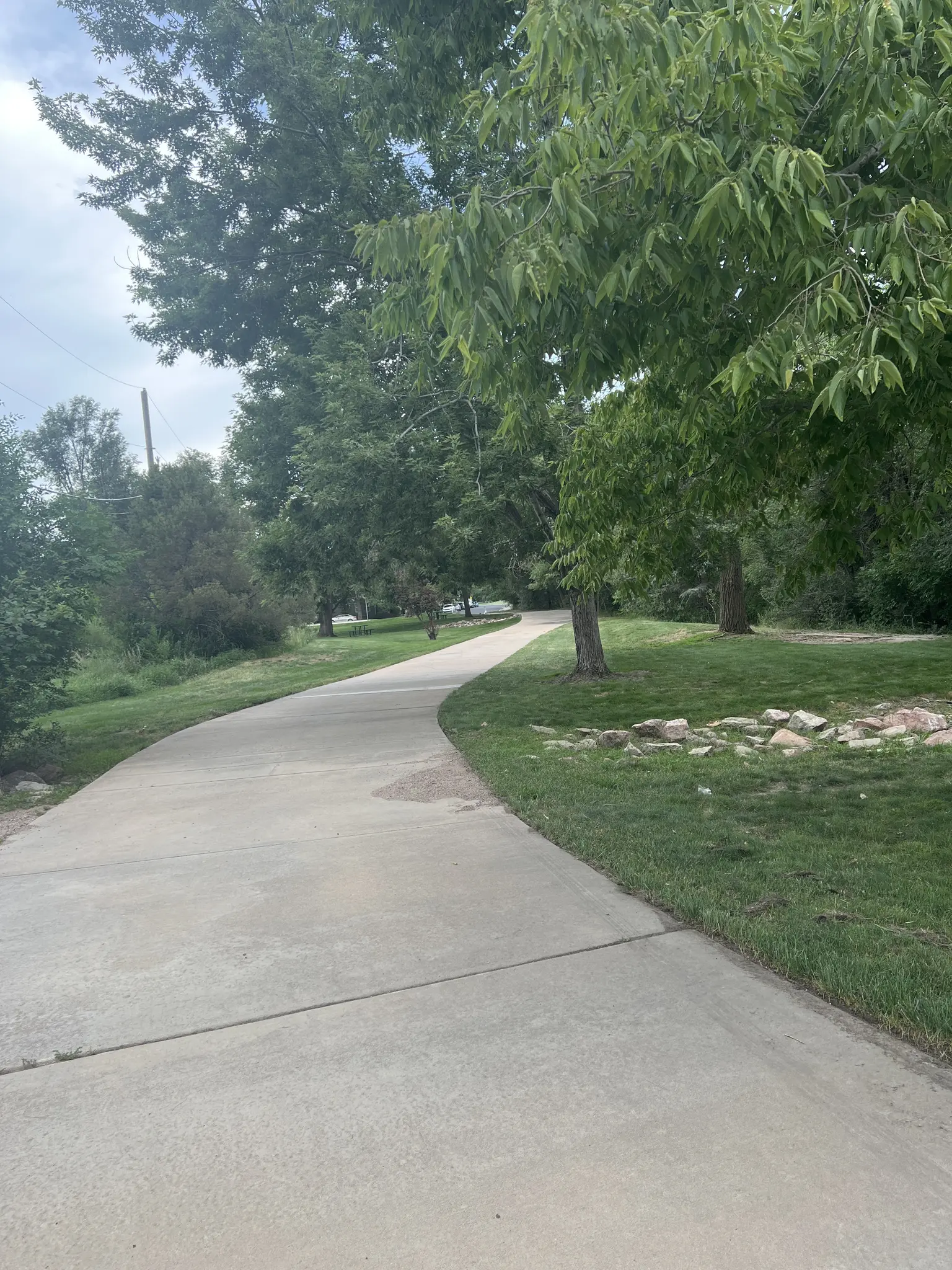 Winding concrete path through a green park with many trees under natural light.
