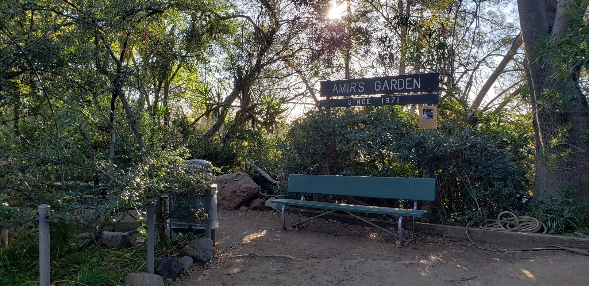 A sunny garden path with a green bench and a wooden sign among trees.