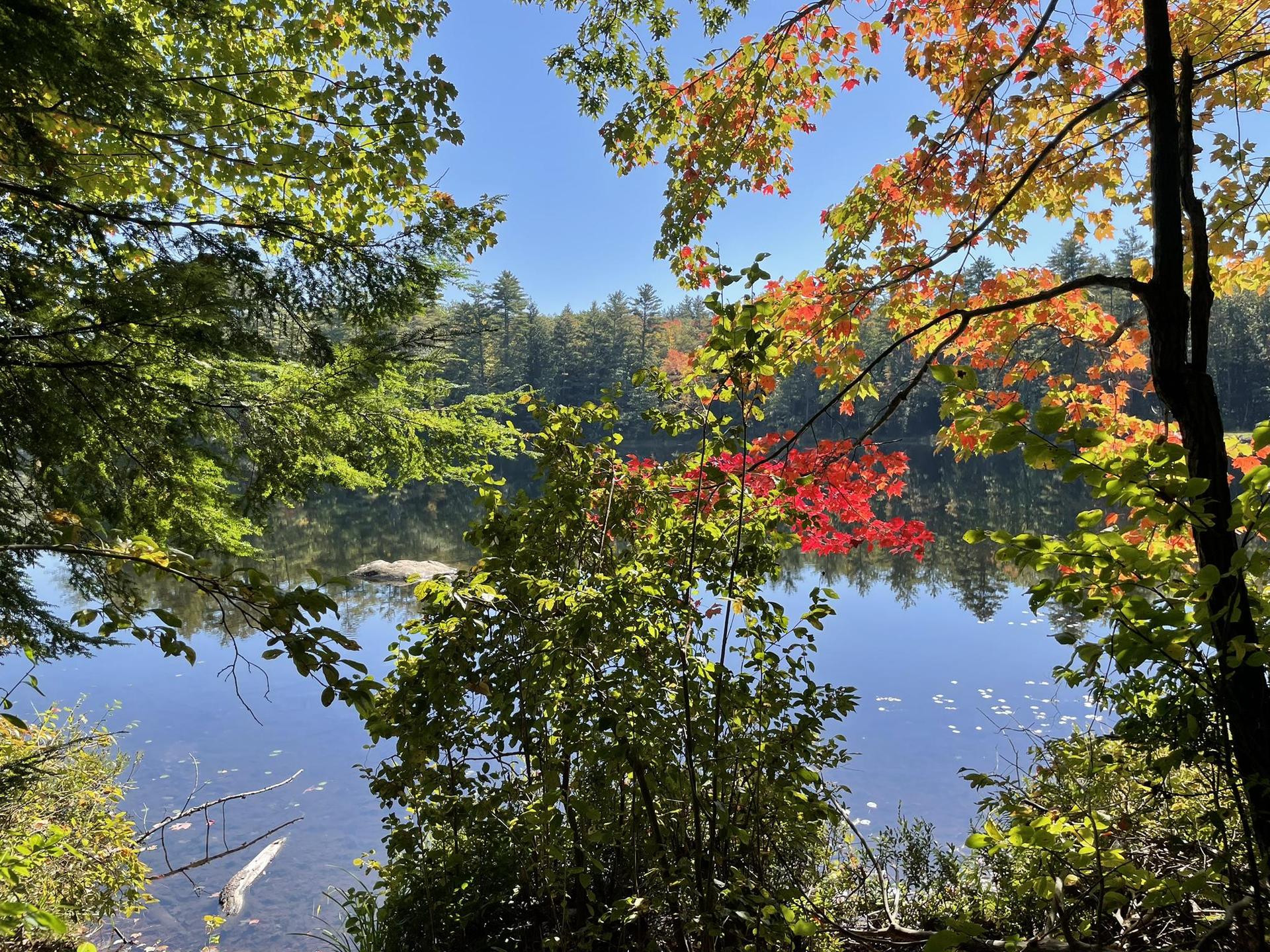 Bright red and orange autumn leaves frame a lake under a clear blue sky.