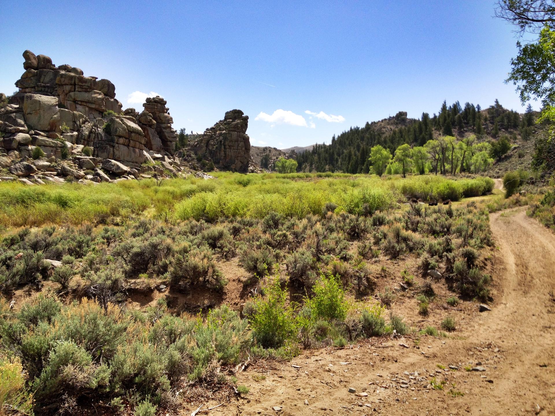 A dirt road winds through a sunny landscape with rocky outcrops and green vegetation.