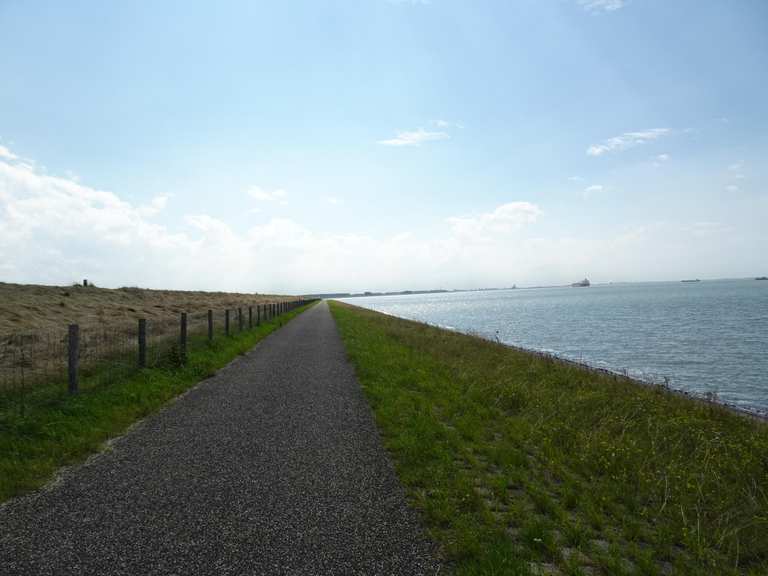 Ossenisse-Deich und Blick auf die Westerschelde: Radtouren und Radwege ...