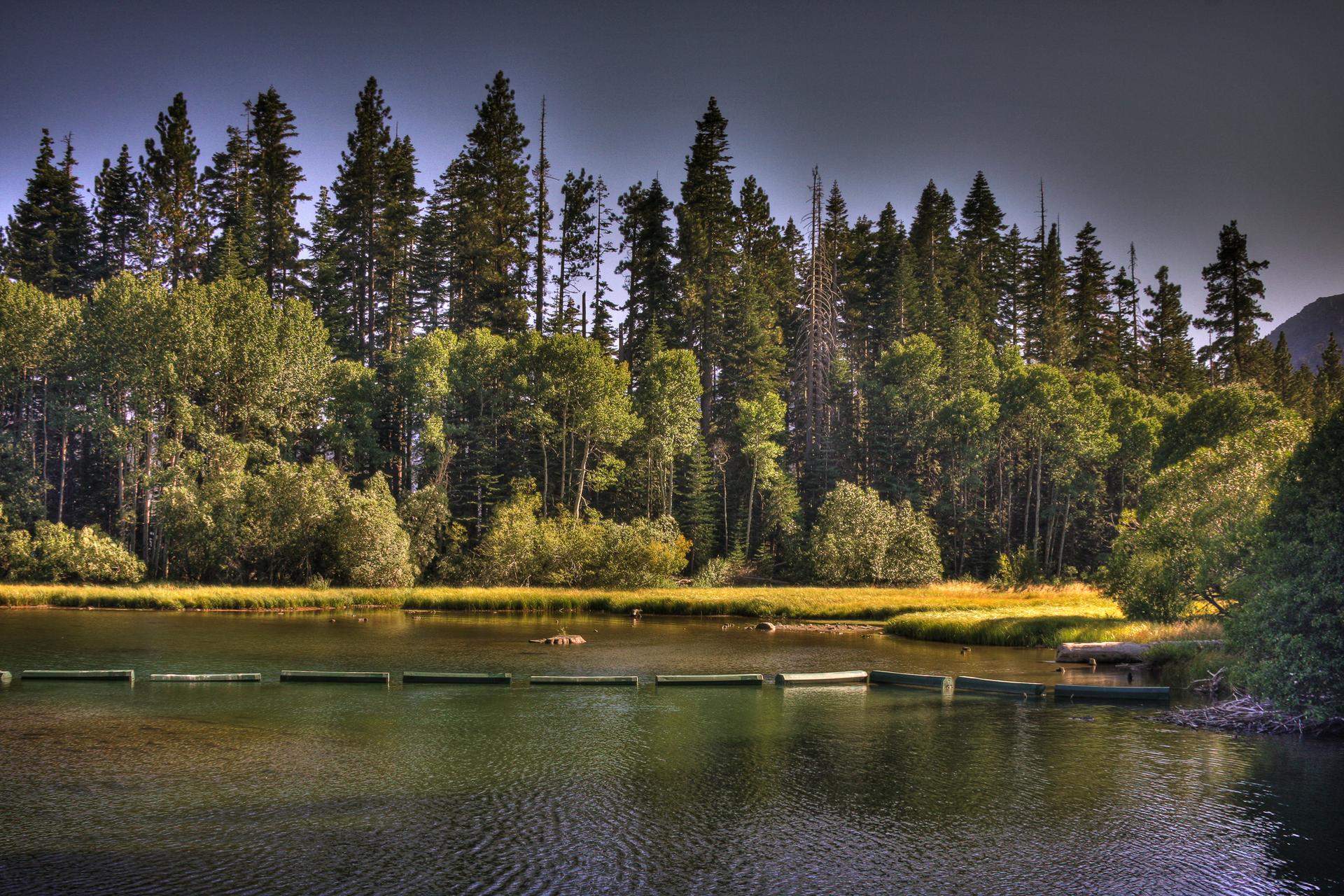 Dark lake bordered by dense green and yellow forest under a dramatic sky.