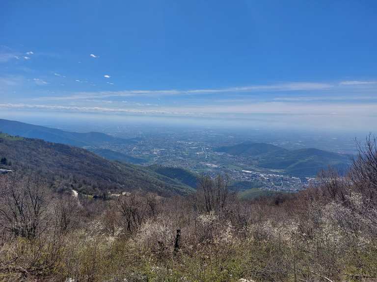 2 Euro (200° Anniversario Dell'ascesa Al Trono Di Onorato V Di Monaco - Foto 10