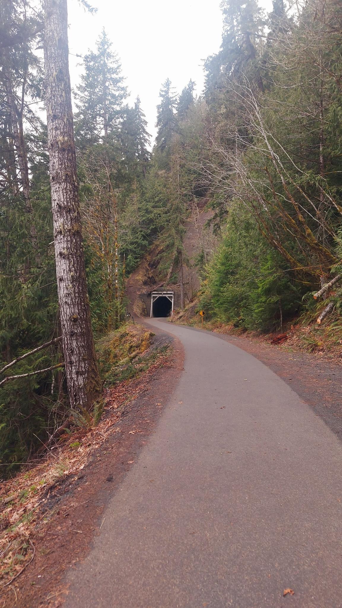 A paved path leads through a dense forest towards a dark tunnel entrance.