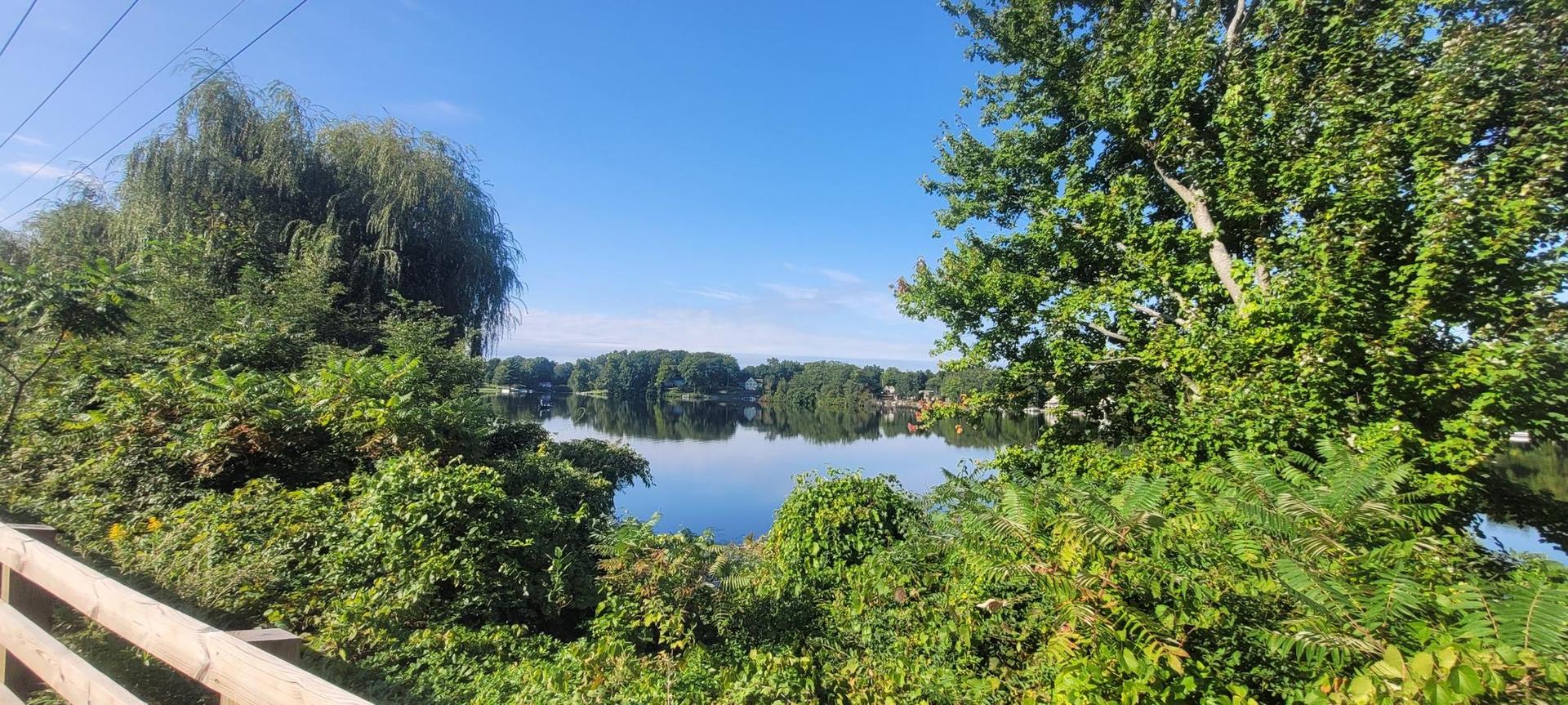 Serene lake reflecting a bright blue sky, framed by vibrant green foliage.