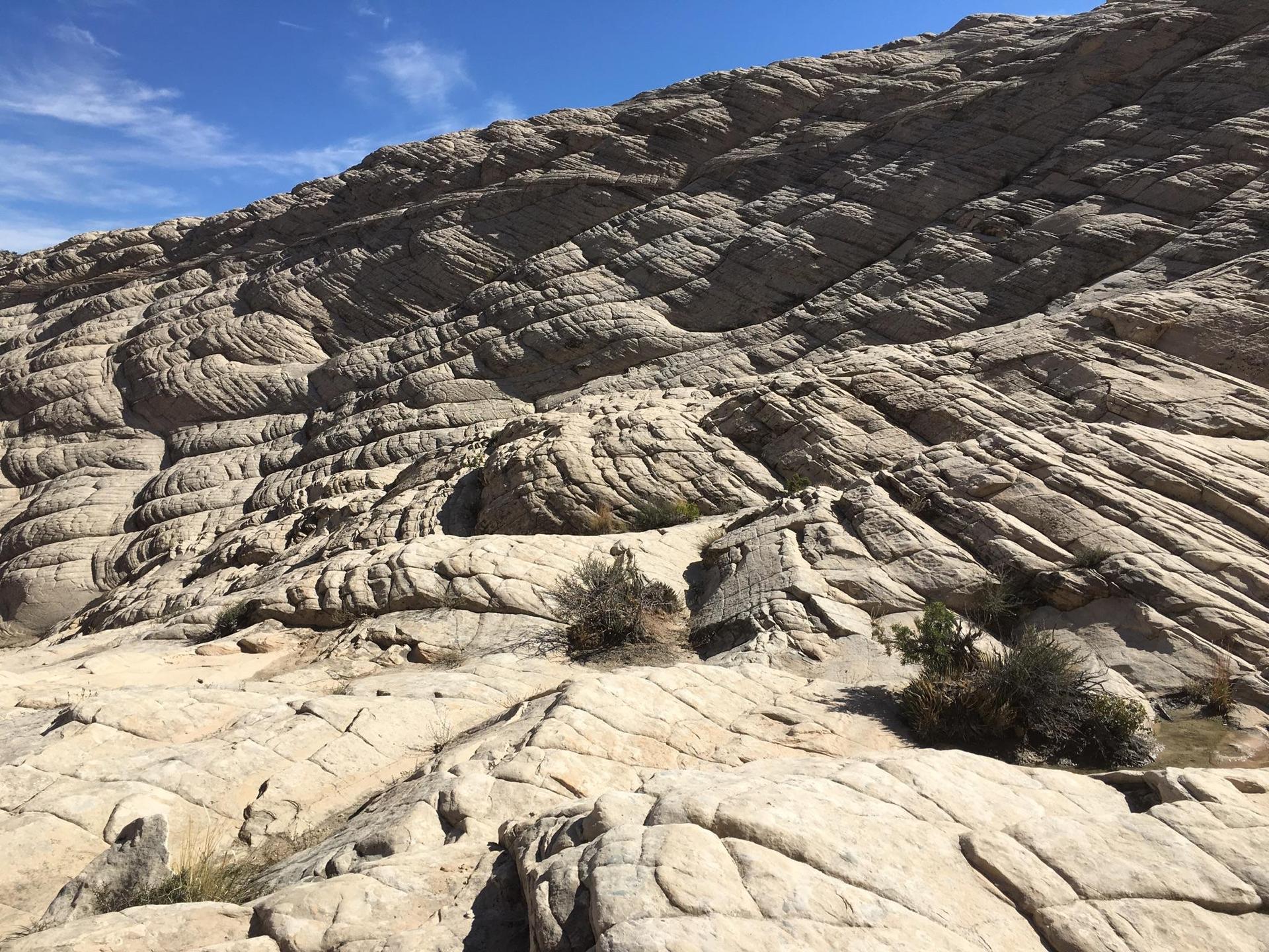 Sunny view of intricate, layered rock formations with small desert plants.