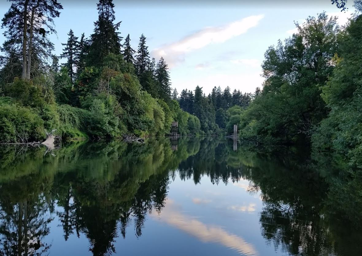 Calm river reflecting green trees under a bright, cloudy sky. - Tualatin River Greenway Trail