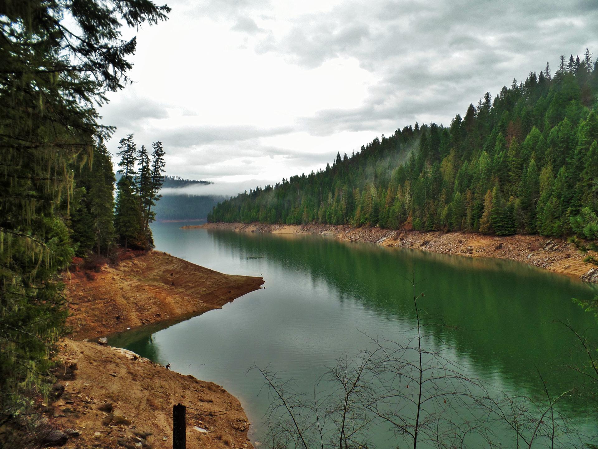 Calm green water surrounded by dense evergreen forests under an overcast sky.