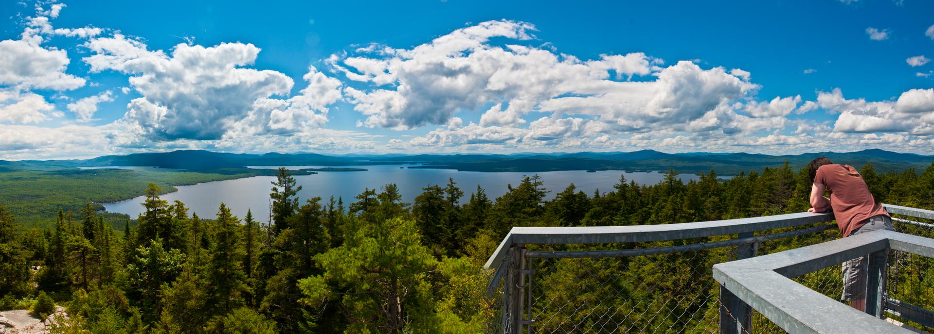 Person on platform overlooking a lake and forested mountains on a sunny day.