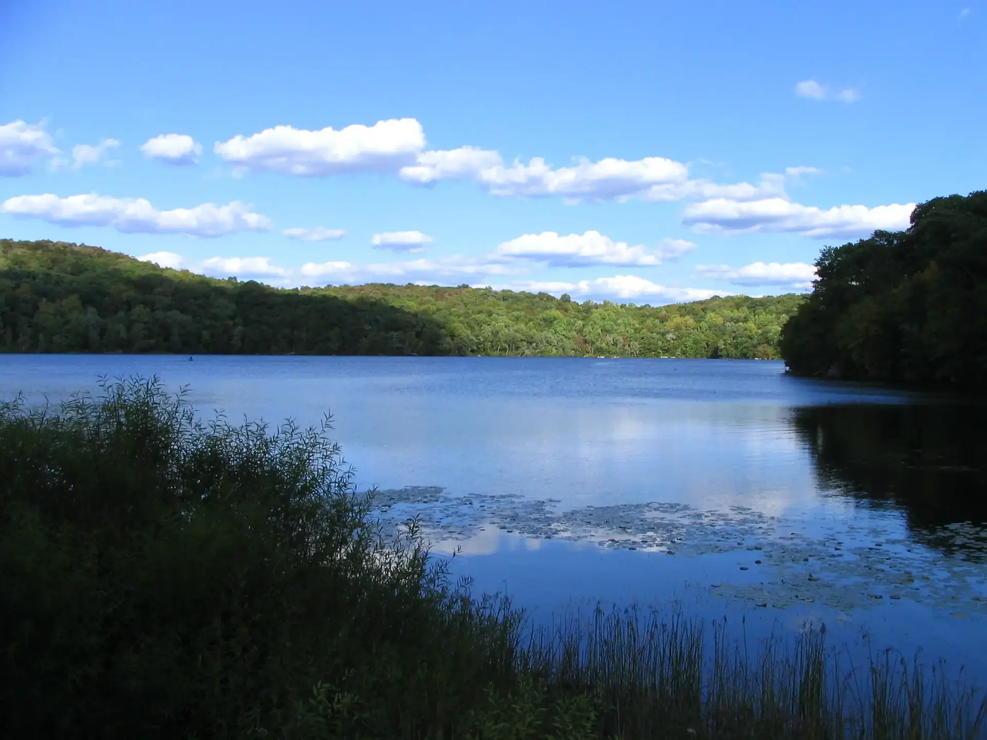 Sunny lake surrounded by green forested hills under a blue sky.
