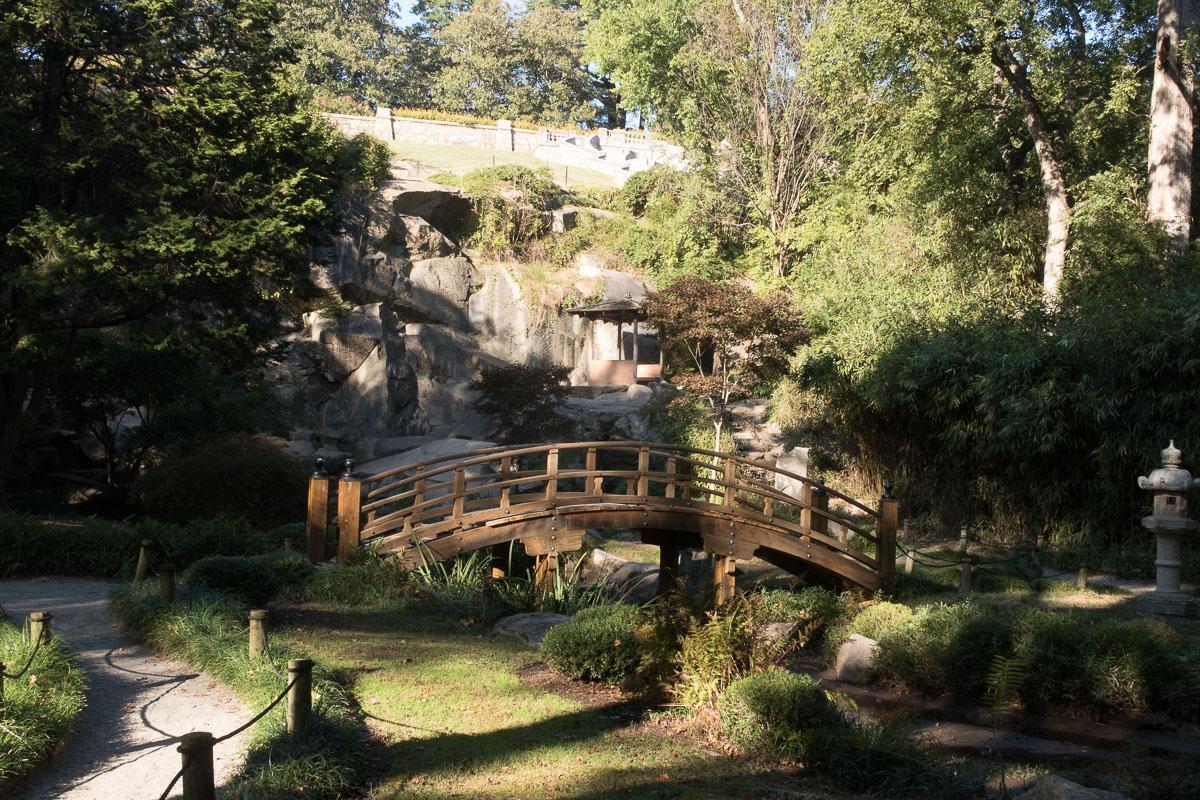 Arched wooden bridge over water in a lush, rocky garden with dappled light.
