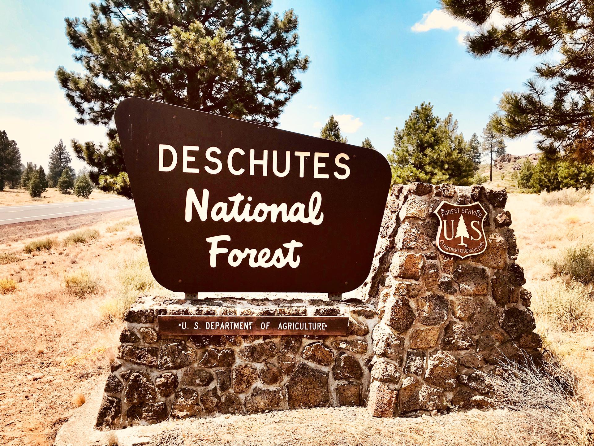 A large brown sign on a stone base, surrounded by pine trees under bright daylight.