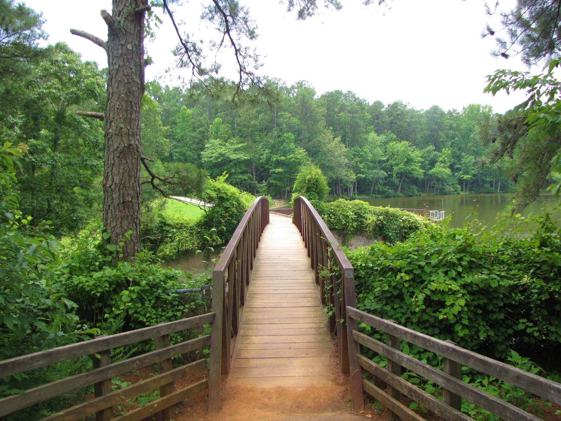 A wooden pedestrian bridge extends over water, surrounded by lush green trees.