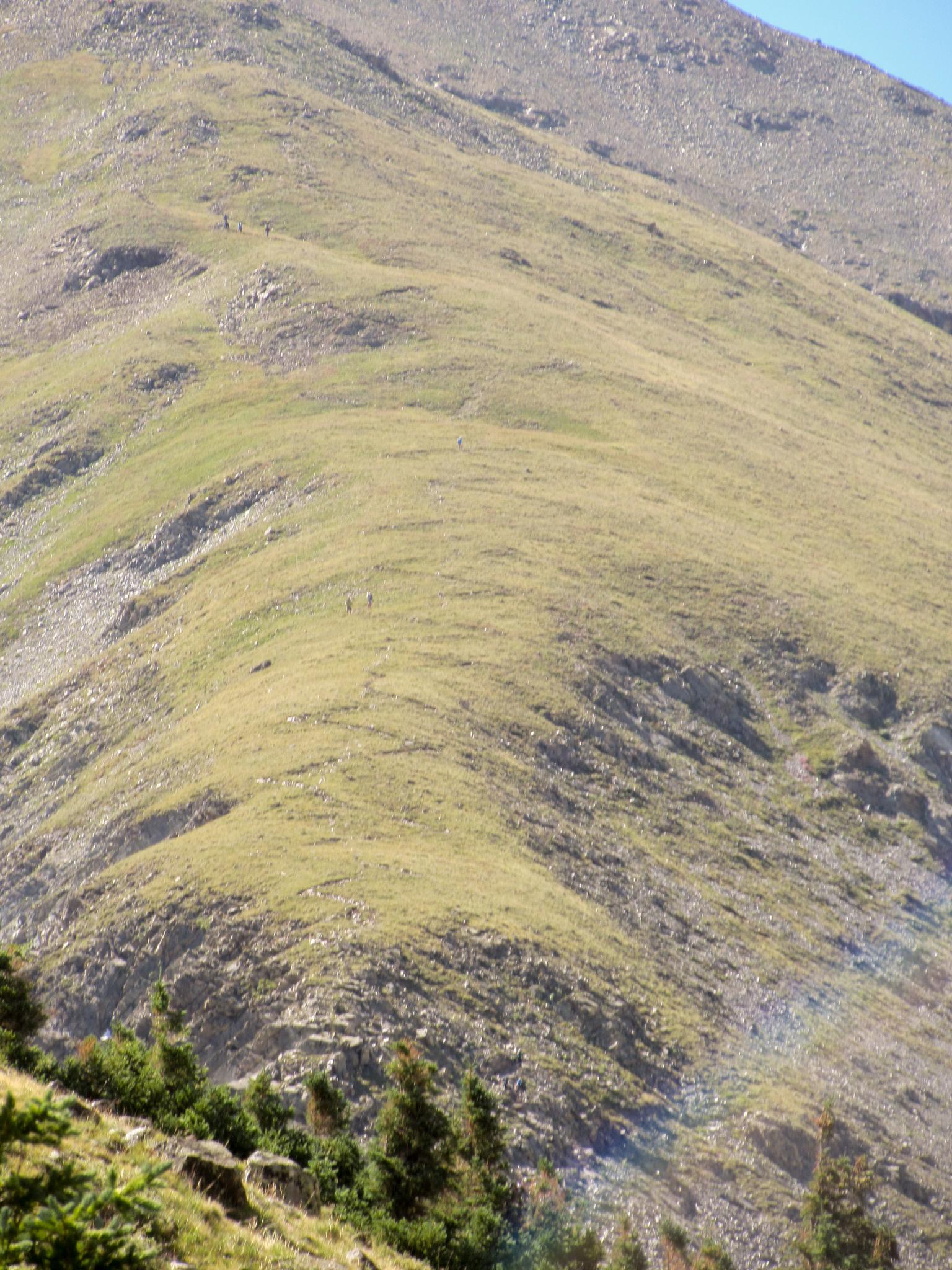 Hikers ascend a steep, grassy mountain slope under bright sunlight.