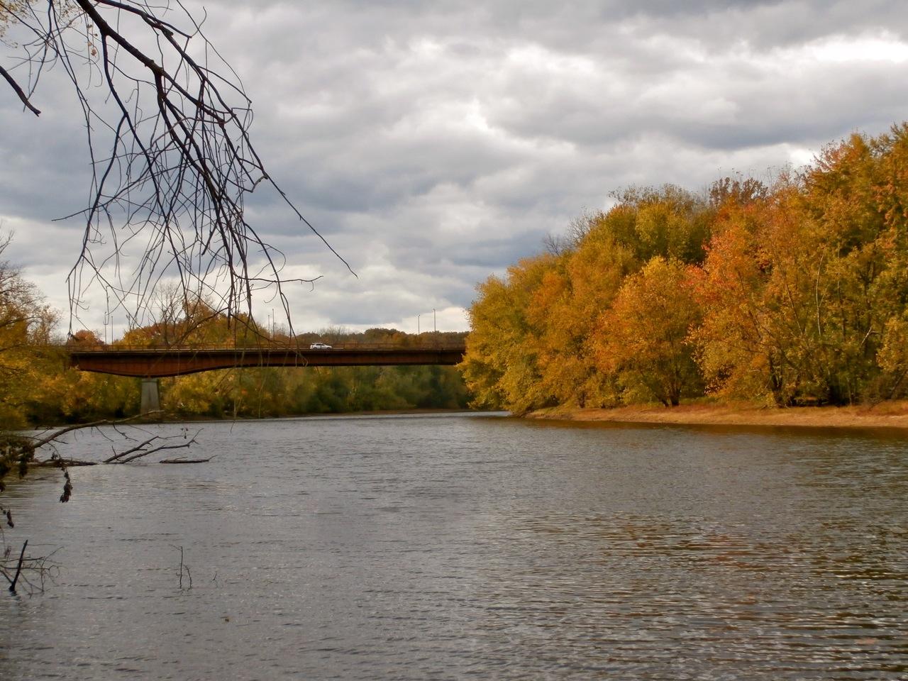 River with a distant bridge, surrounded by vibrant autumn trees under cloudy sky.