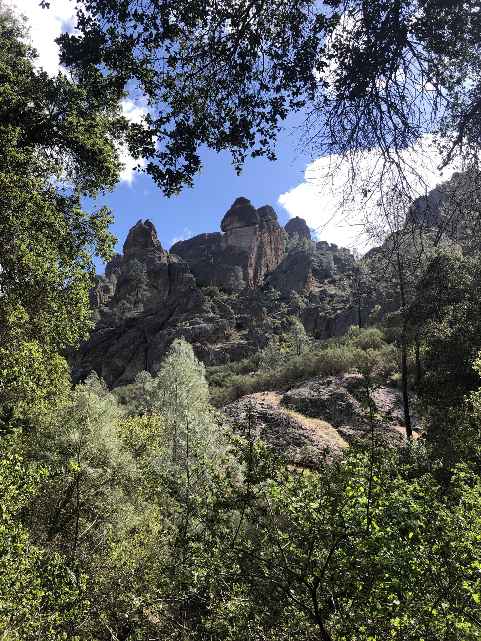 Towering rock formations framed by green trees under a bright blue sky.