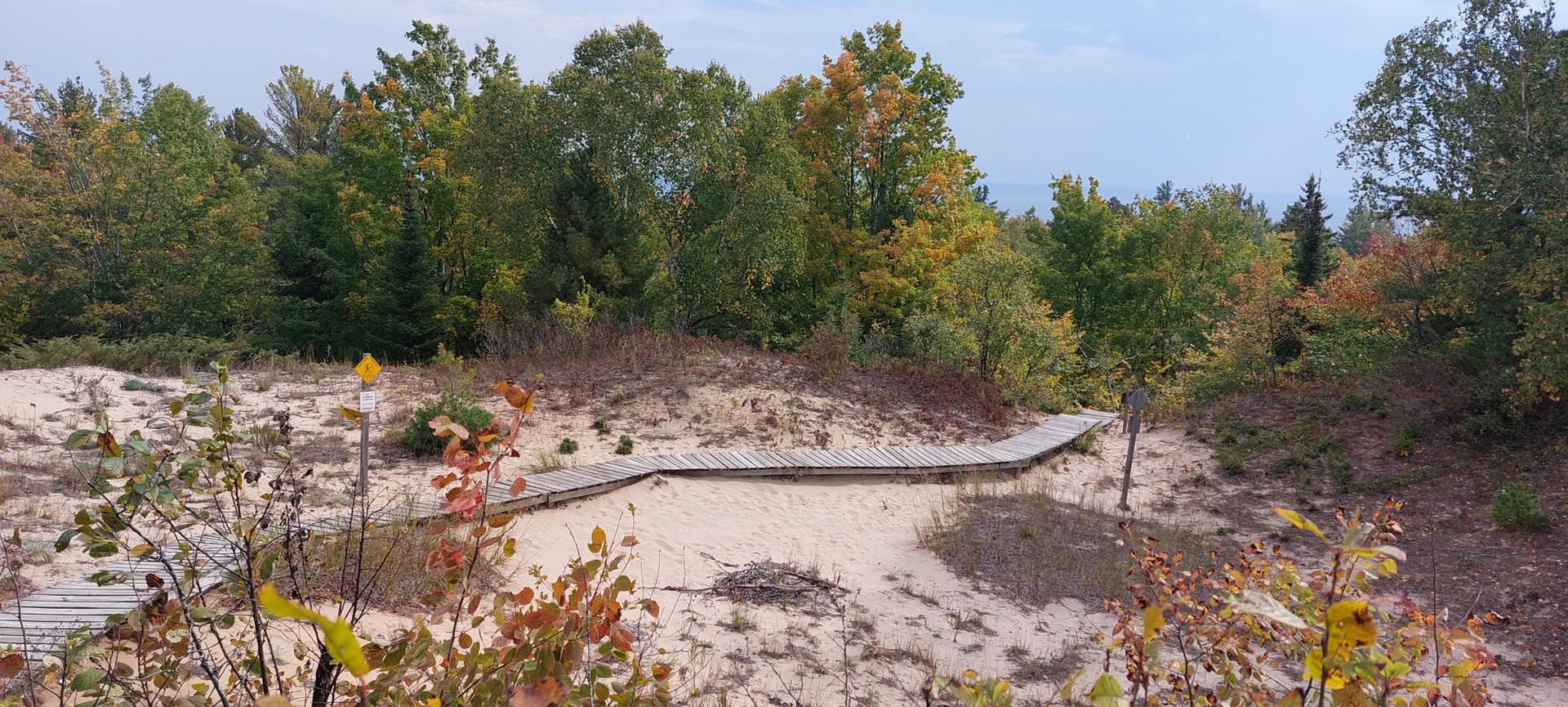 Wooden boardwalk winds through sandy dunes with colorful autumn trees under an overcast sky.