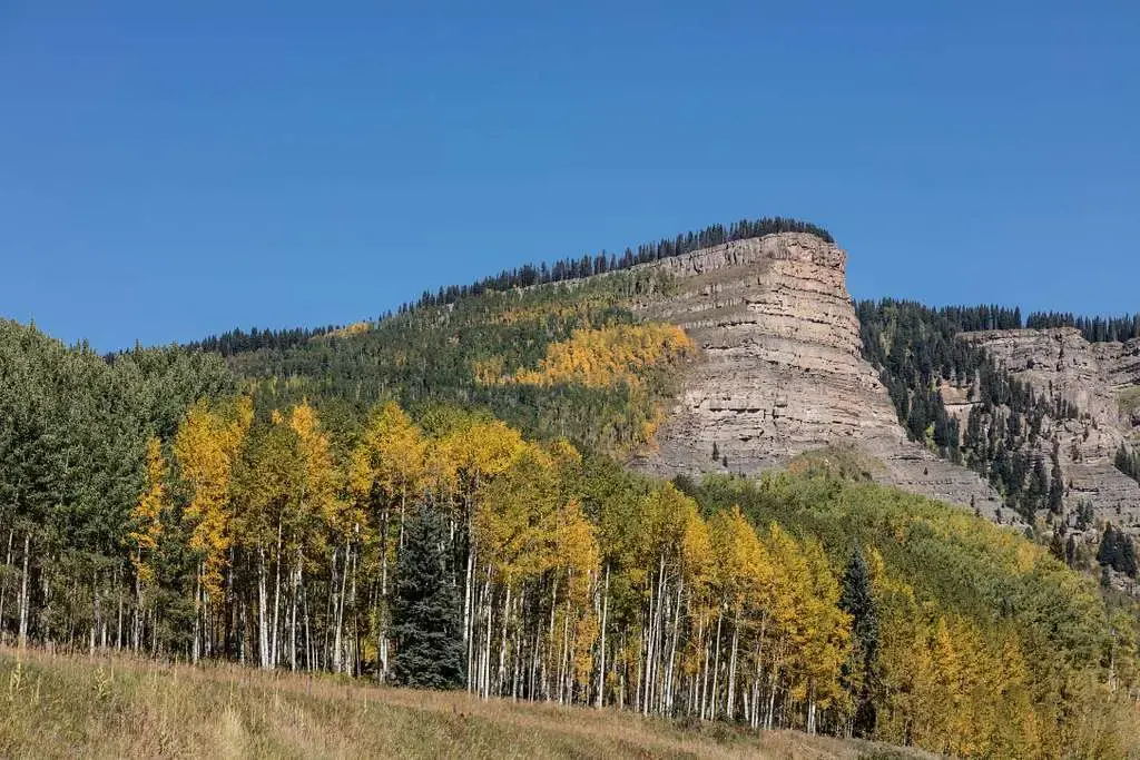 Rocky mountain cliff with golden autumn aspens under a clear blue sky.