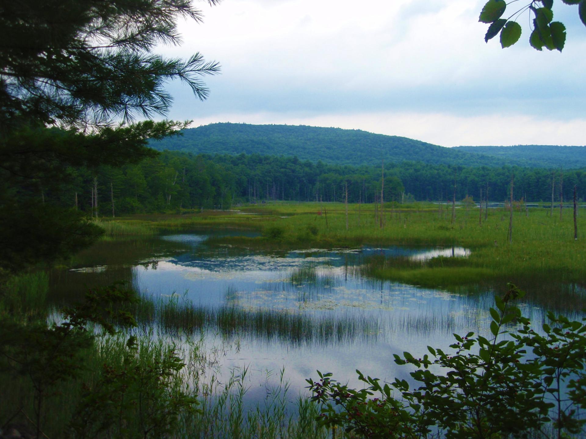 A tranquil lake reflects a cloudy sky, surrounded by green marsh and forested hills.