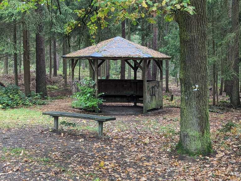 Schwarzer Teich Schöner Waldweg Runde von Reudnitz Wanderung Komoot