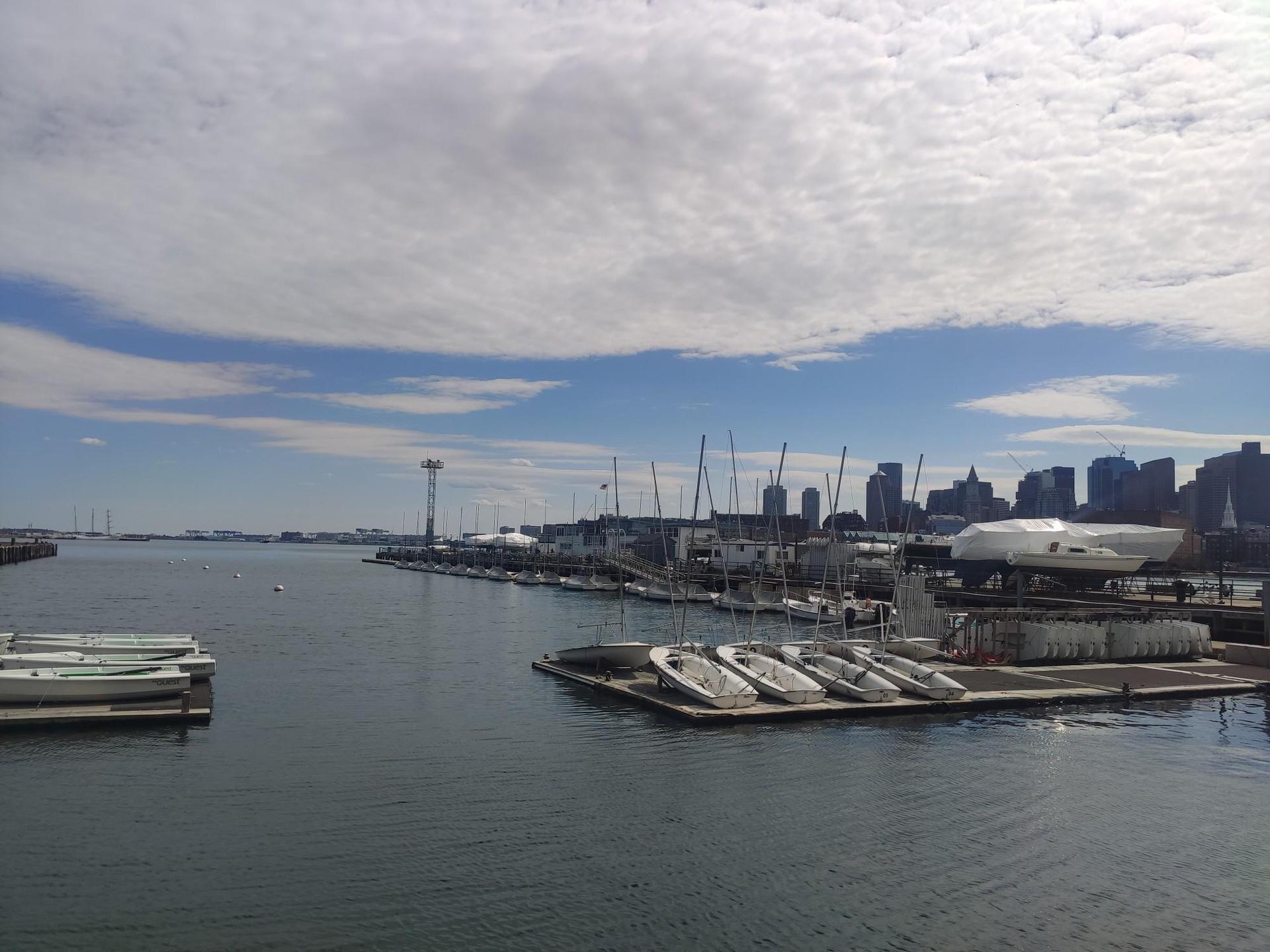 Marina filled with boats, a distant city skyline under a bright sky.