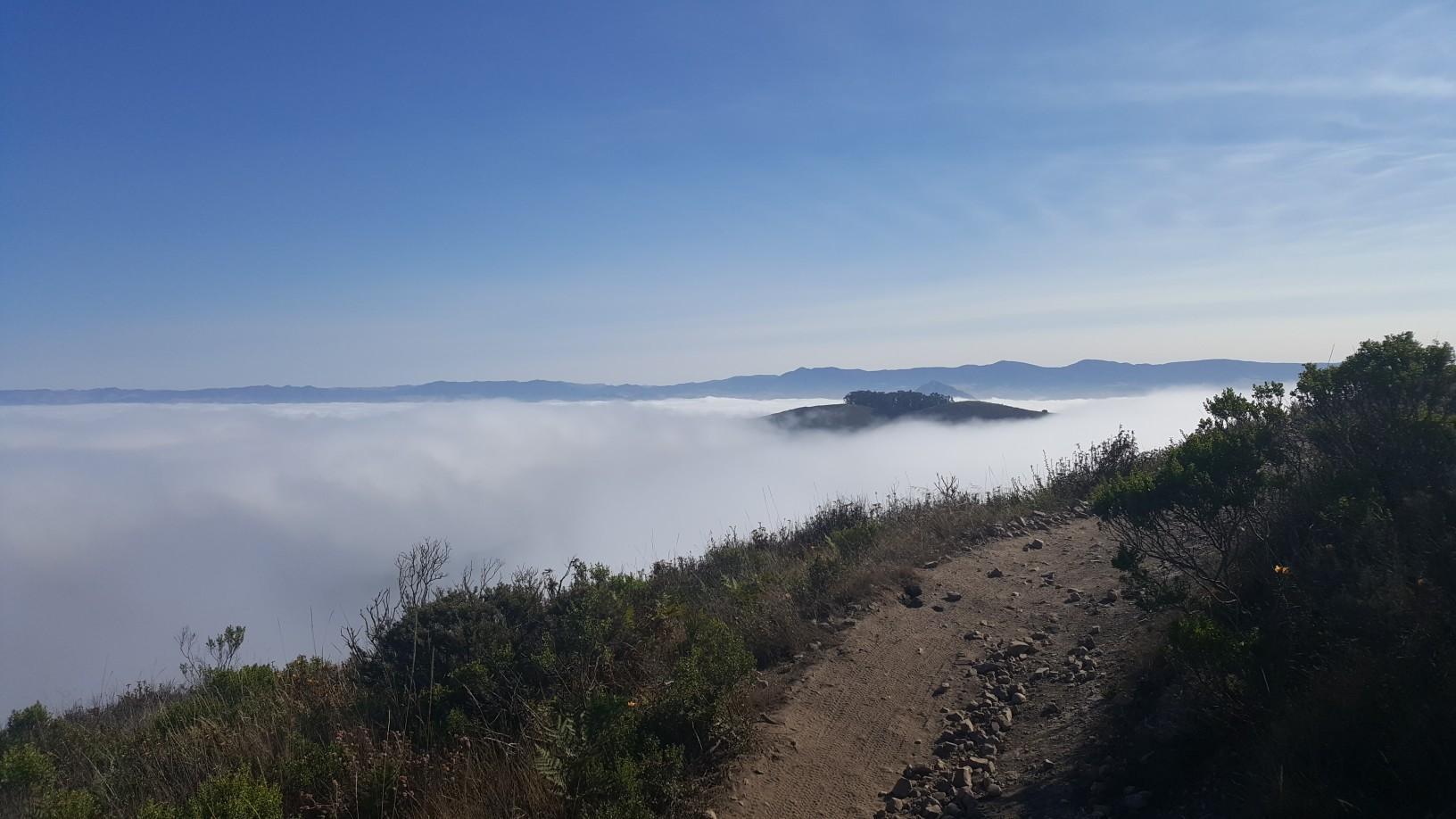 A dirt trail on a hill overlooking a vast sea of clouds.