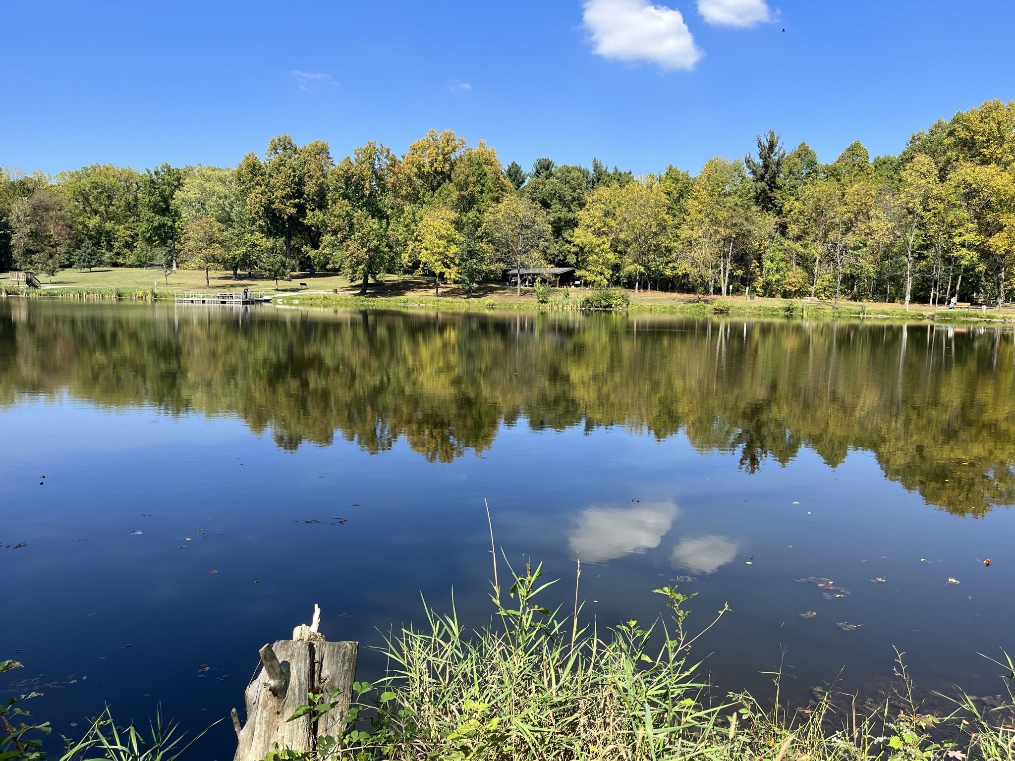 Calm lake reflecting green and autumn trees under a bright blue sky. - Bat Haven and Oak Trace Loop