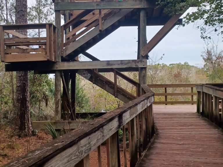 Tower Trail & Island Trail loop — Tillie K Fowler Regional Park ...