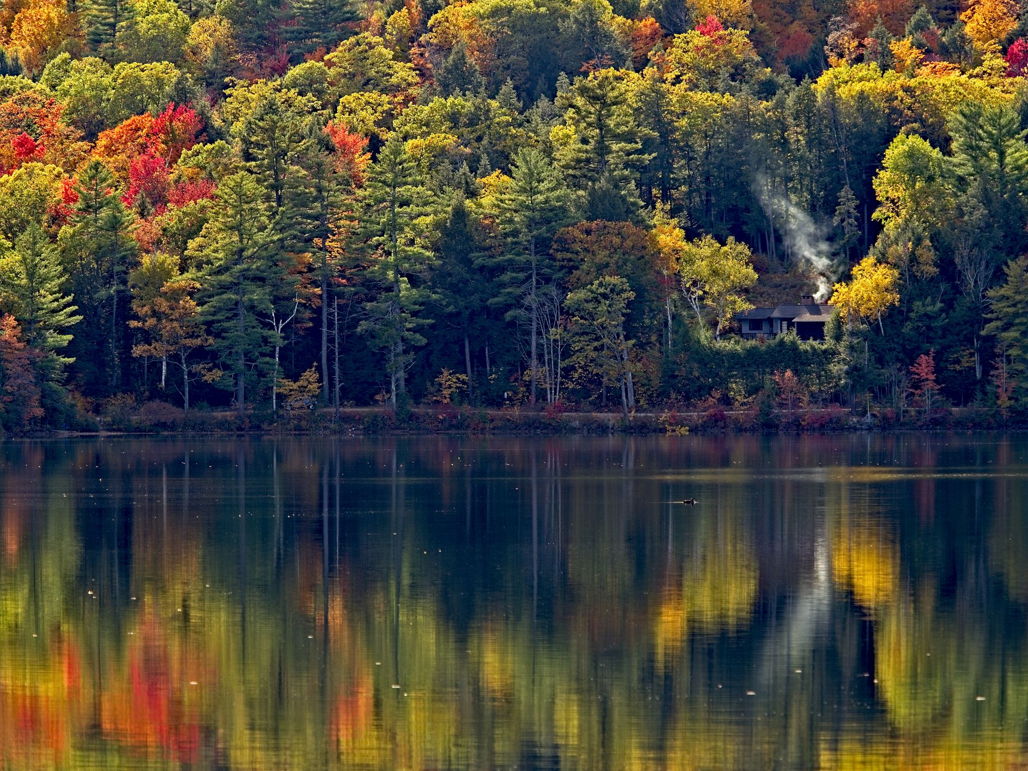 A calm lake reflects a vibrant autumn forest with a distant cabin. - Lake Sunapee – Kezar Lake loop from Lot 1