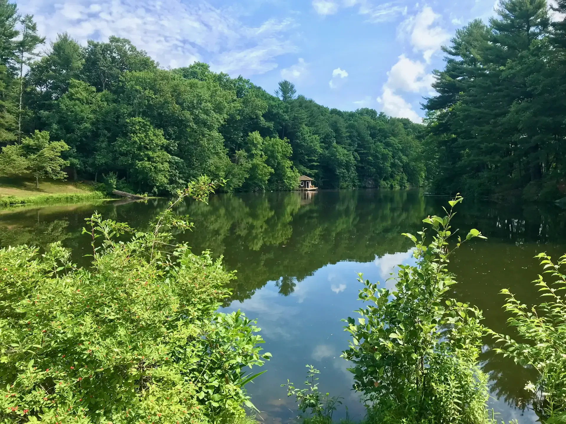 Calm lake reflecting blue sky, surrounded by dense green forest under bright sun.