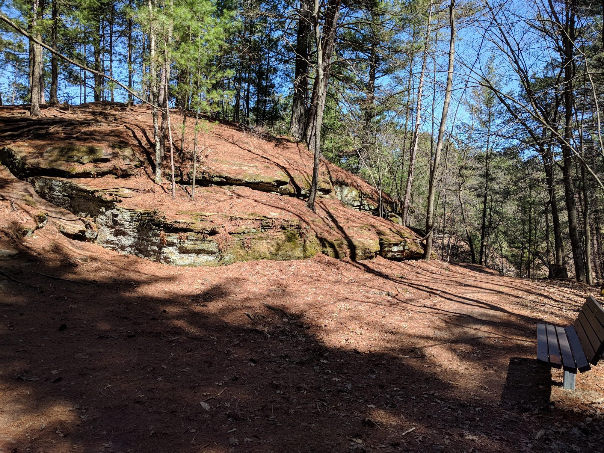 Sunny forest scene with a rocky outcrop, pine trees, and a wooden bench.
