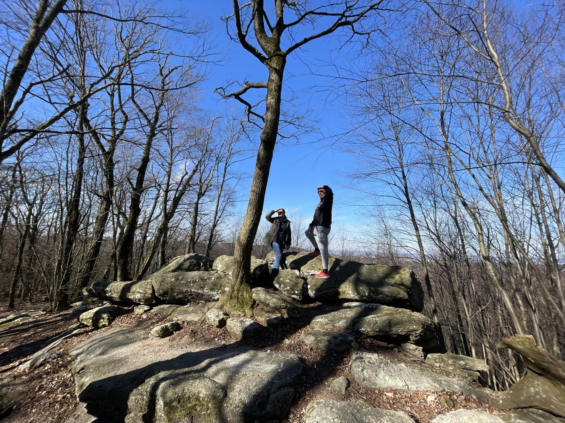 Two people stand on sunlit rocks in a bare forest, looking out.