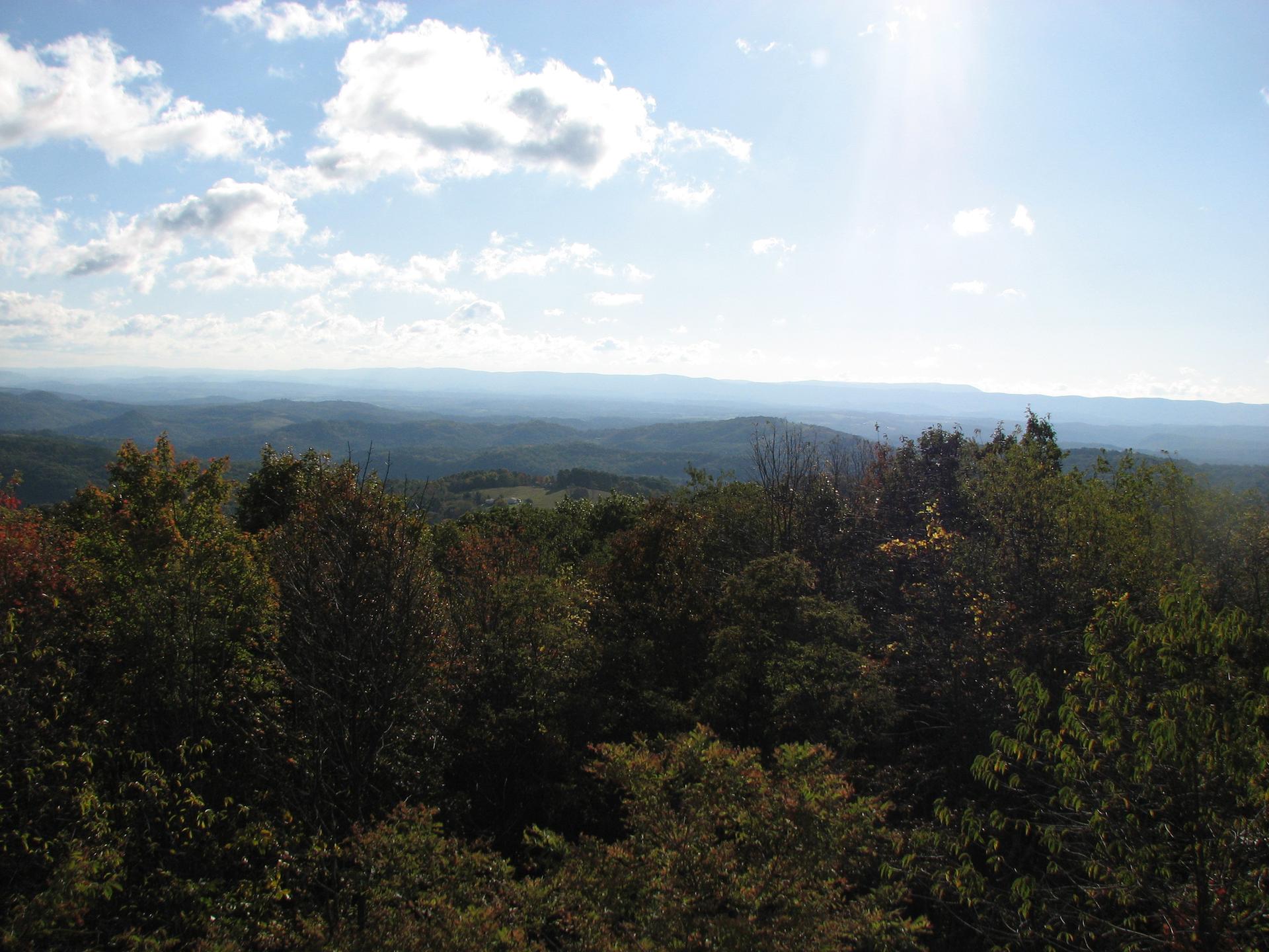 Sunny view over a dense forest canopy to hazy distant mountains.