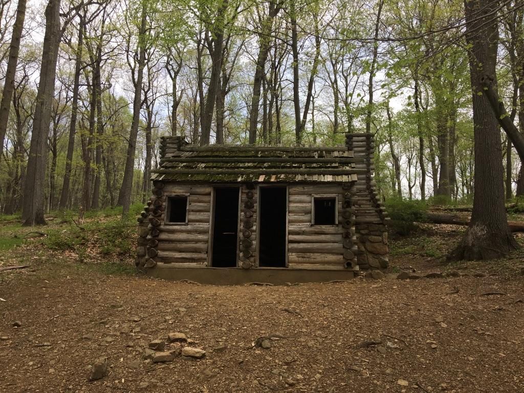 Rustic log cabin with two doors in a forest under an overcast sky. - Yellow Trail