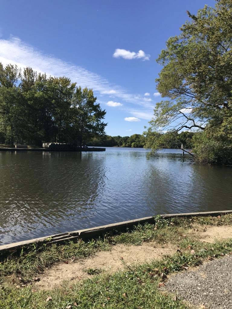 Sunny river with green trees and a dock under a blue sky.