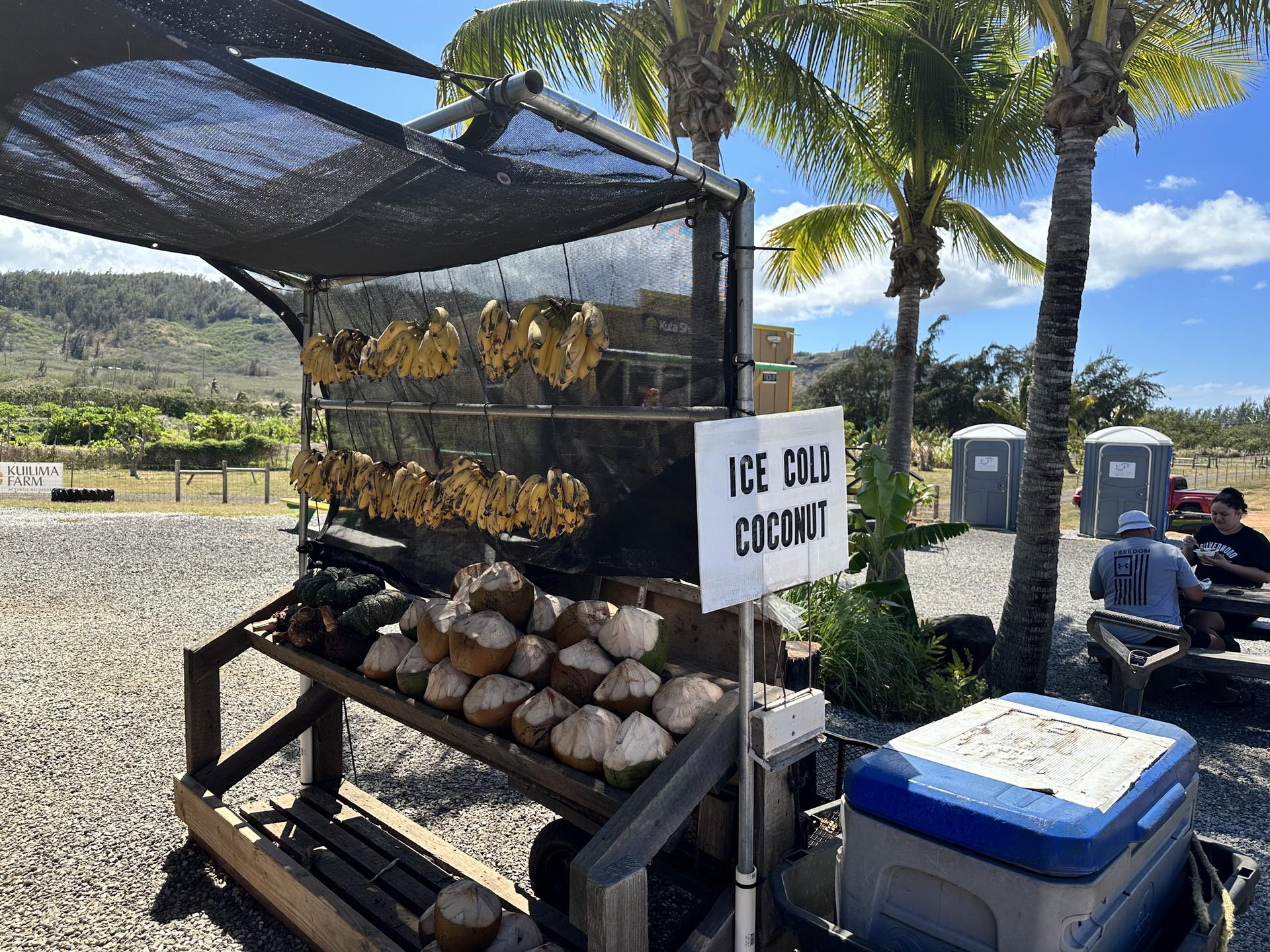 Roadside stand selling coconuts and bananas under palm trees, people relaxing.