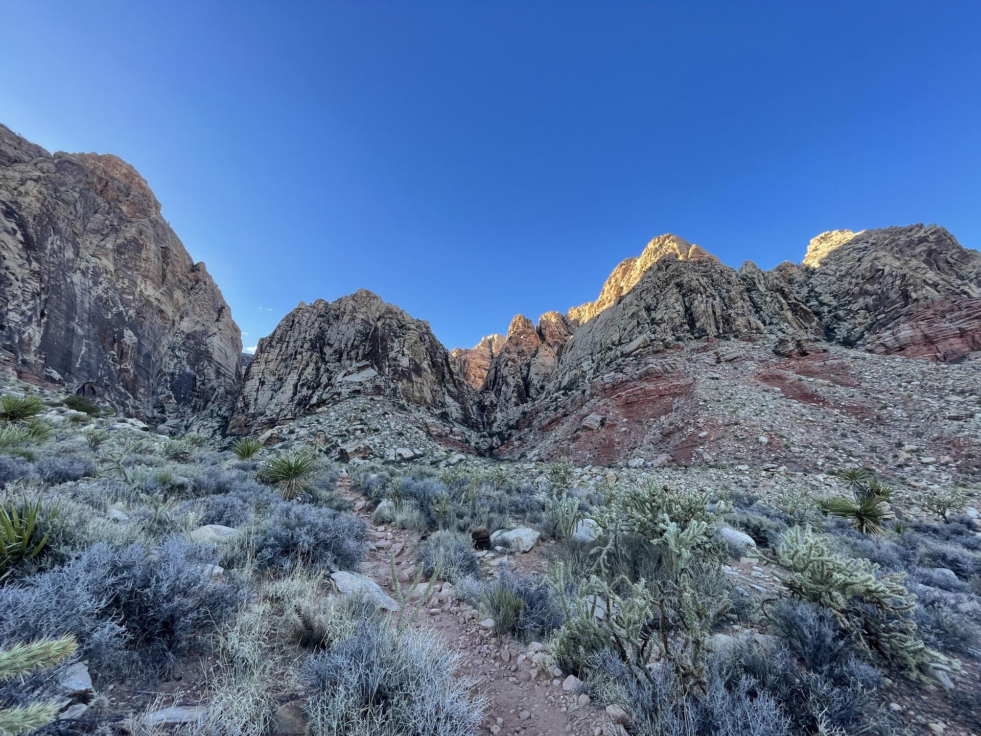 Sunny desert landscape with rocky mountains, sparse vegetation, and a dirt path.